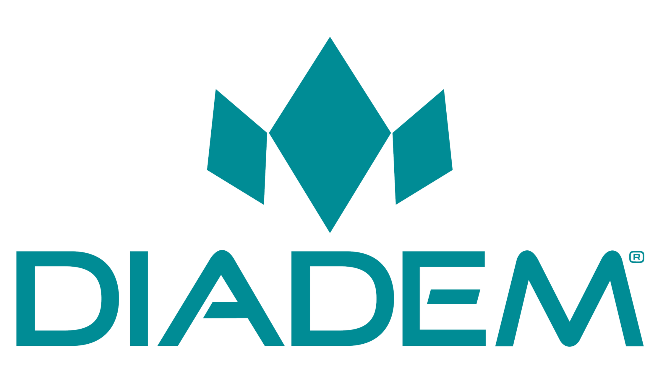 Diadem Sports, club sponsor