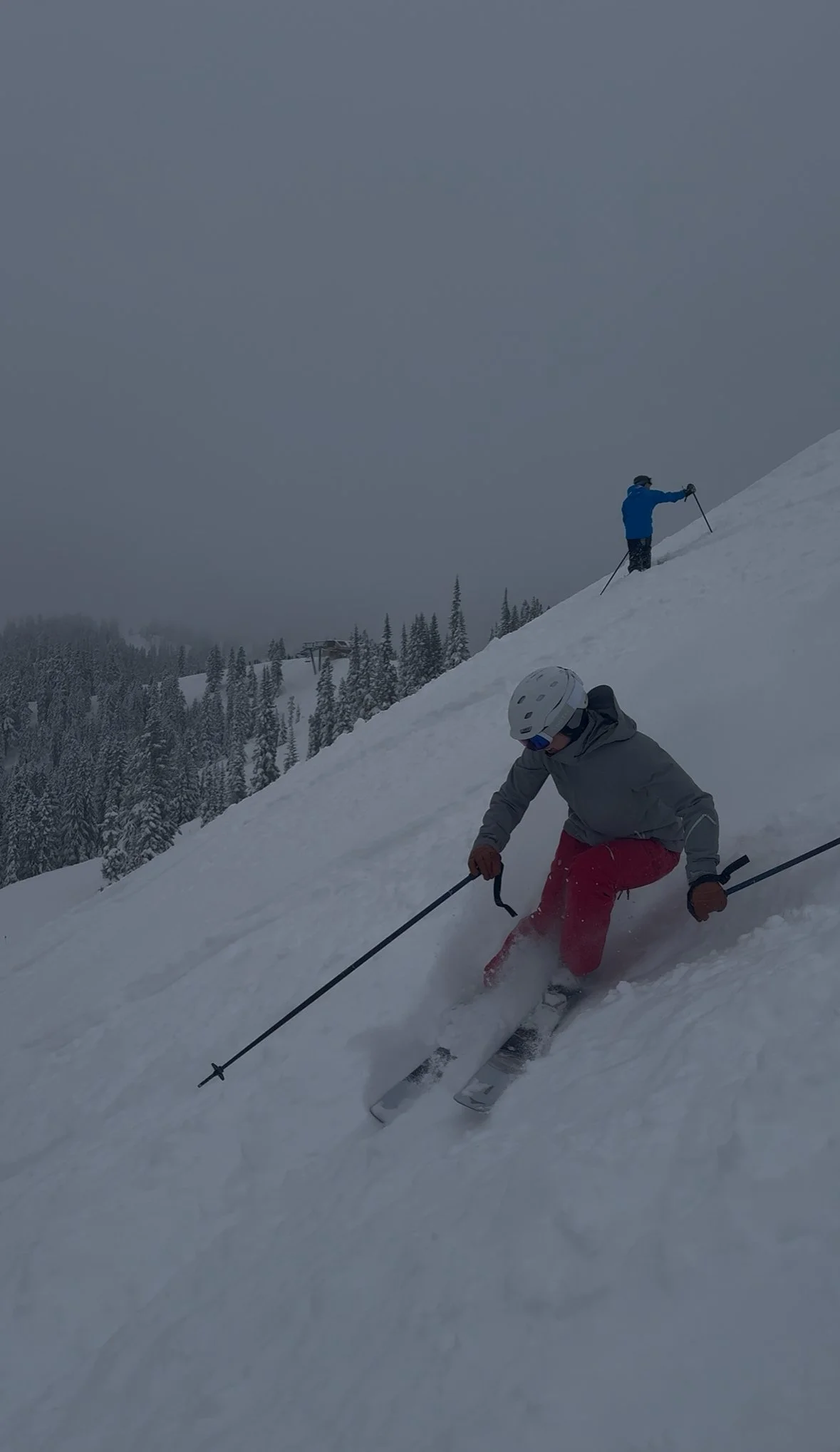 Person skiing downhill on a snowy slope with snow-covered trees in the background, overcast sky.