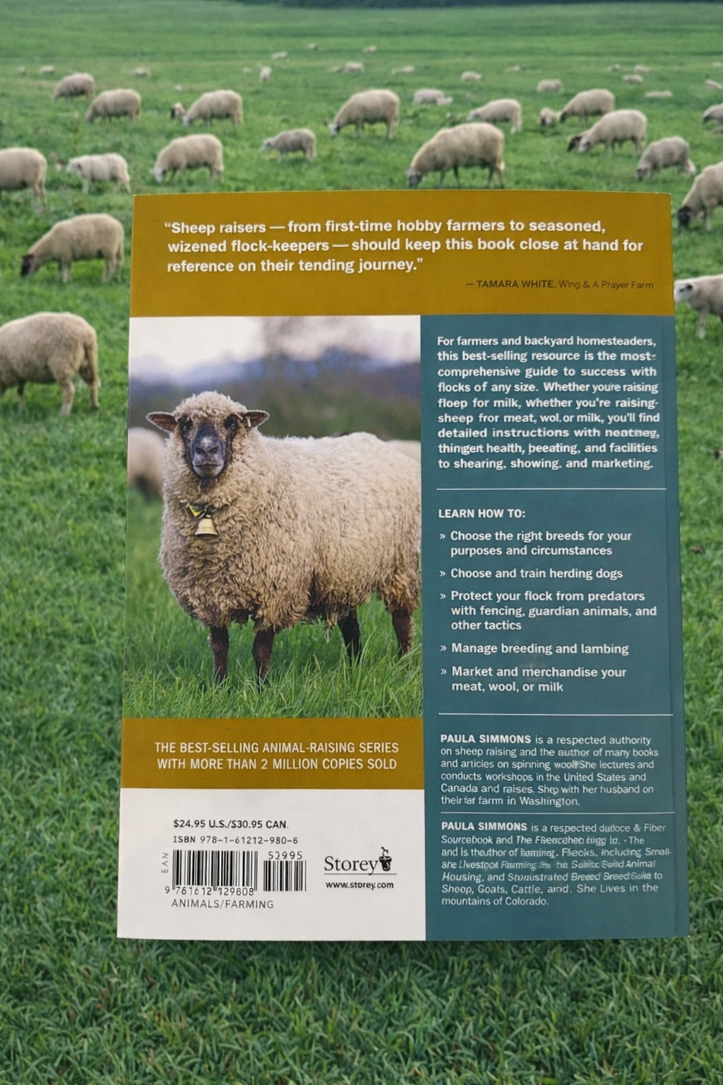 ChatGPT Image Dec 24, 2025, 11_19_50 AM.png