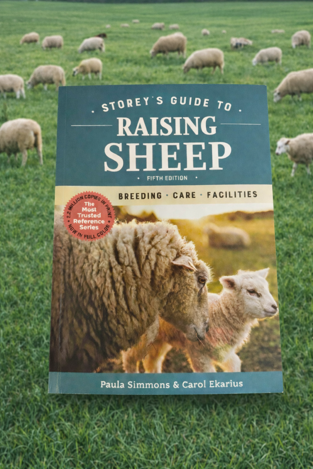 Story's guide to raising sheep