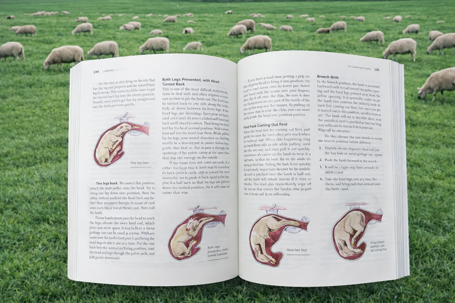 ChatGPT Image Dec 24, 2025, 11_18_57 AM.png