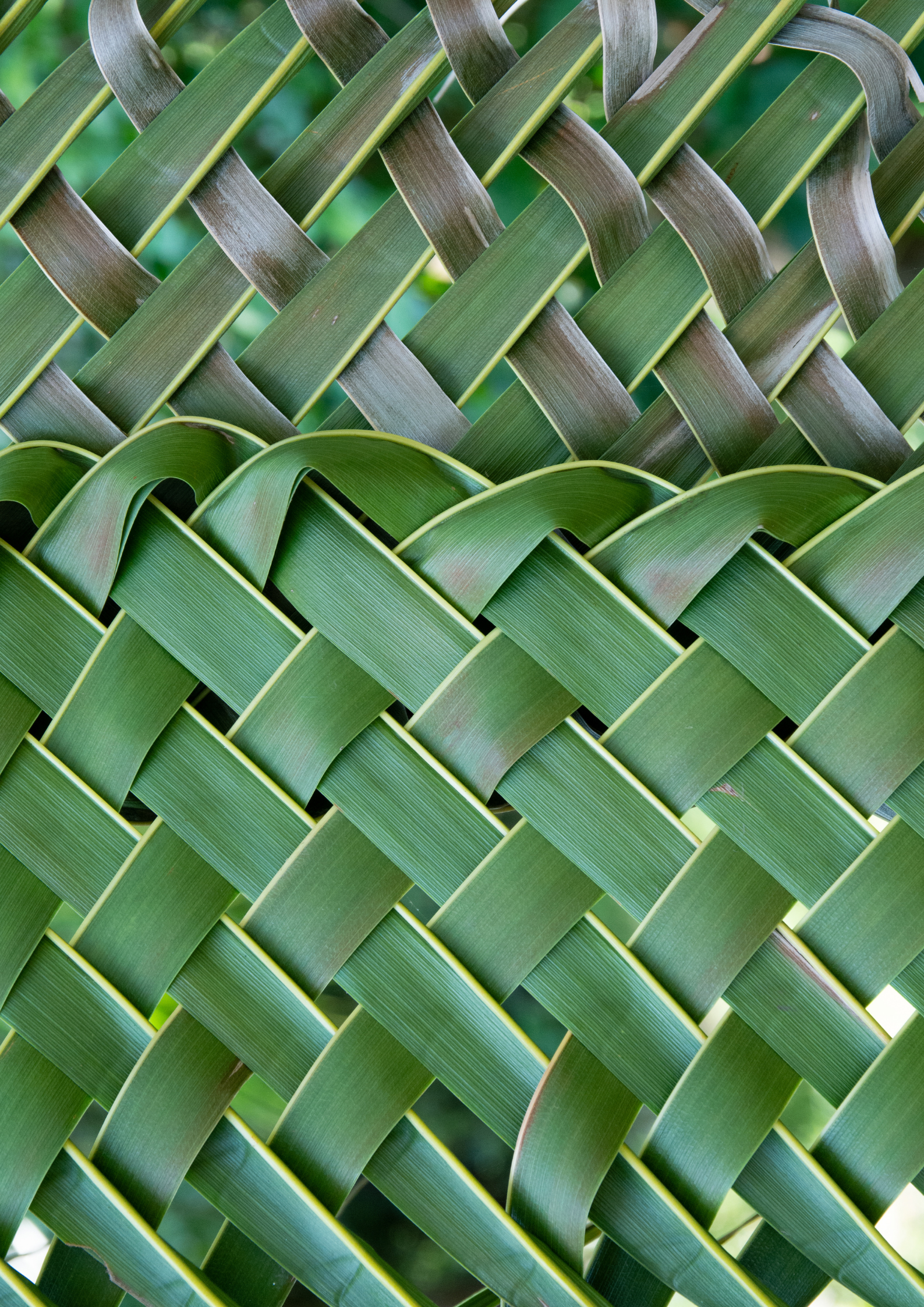 Close-up of woven green palm leaves forming a basket-like pattern.