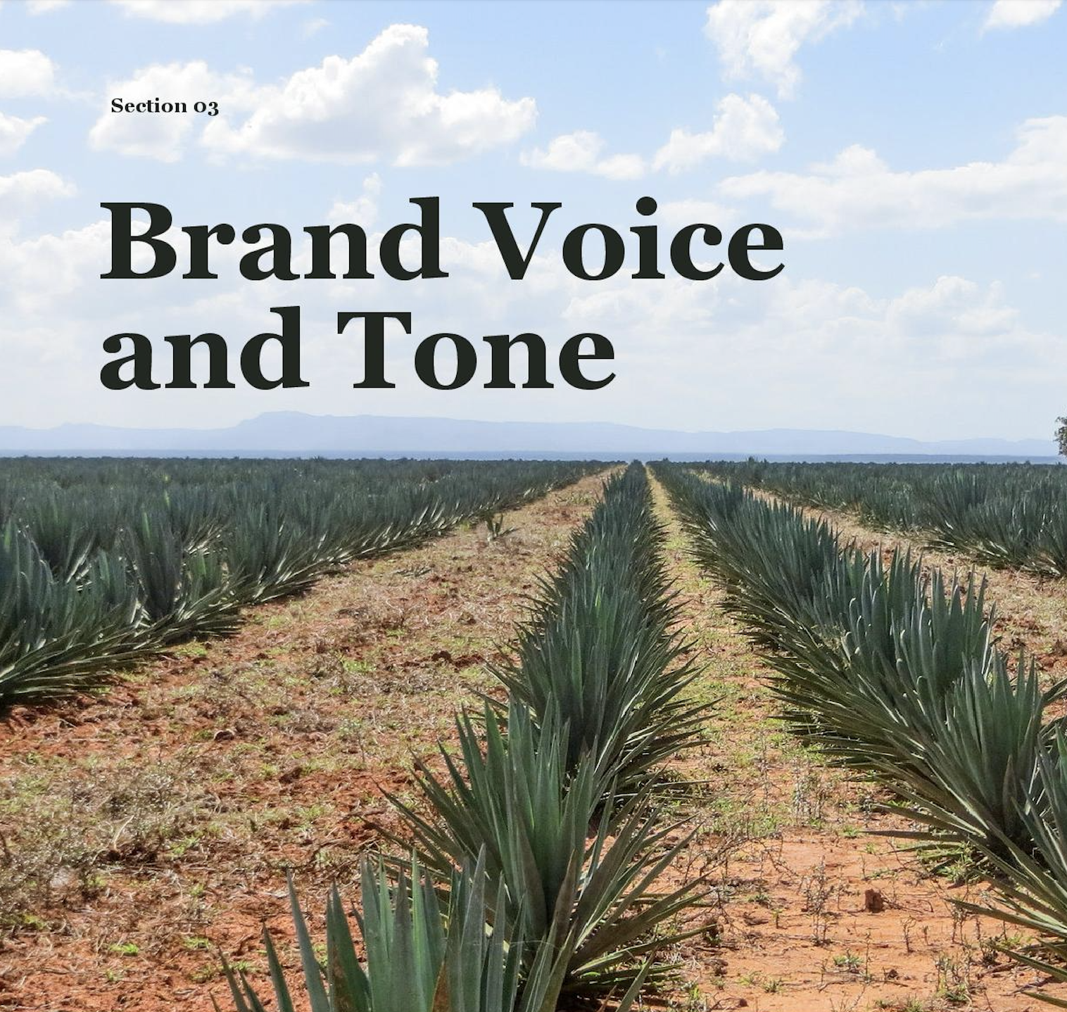 USAID FAMINE FORECAST: Brand identity, brand positioning, and website design