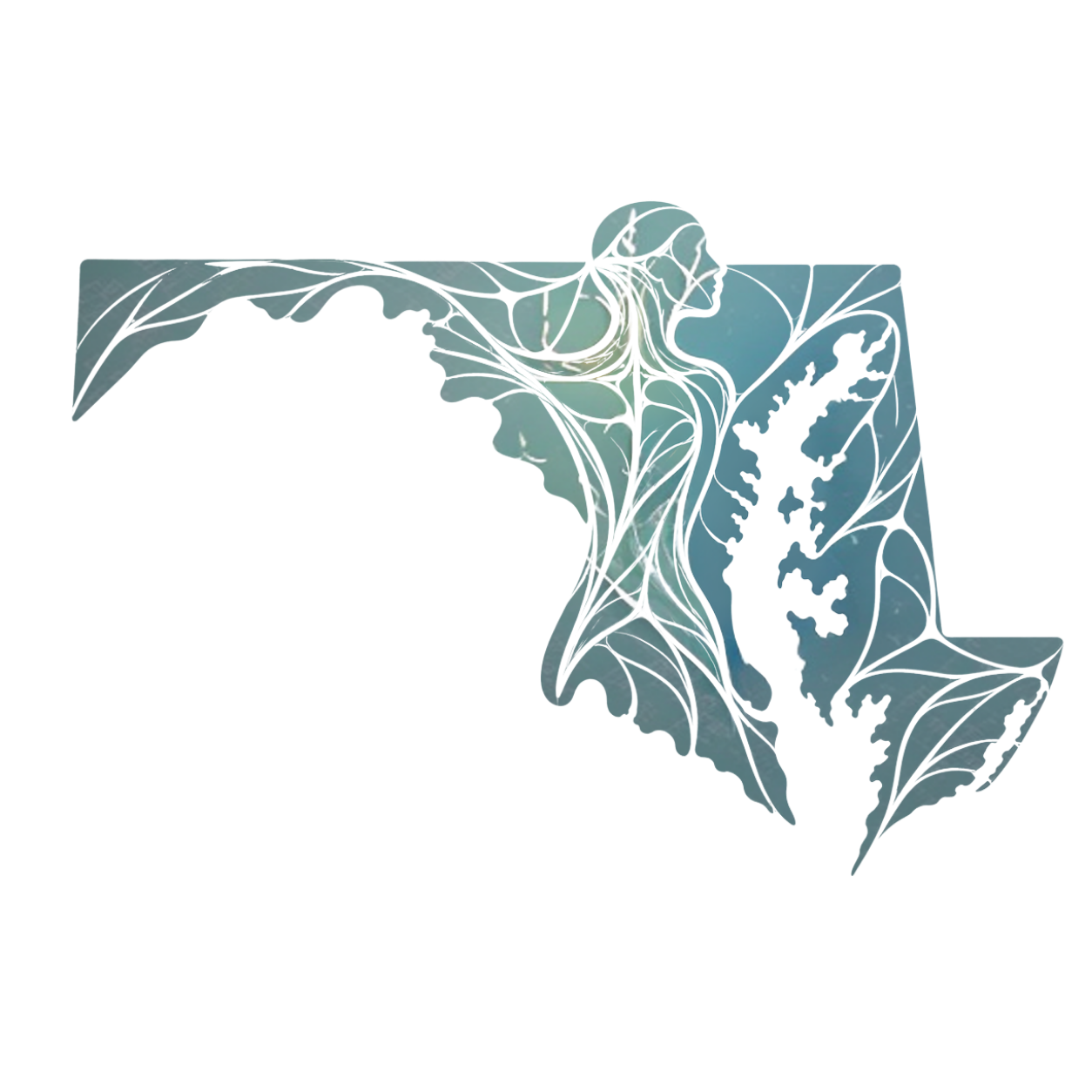 Maryland Myofascial Release