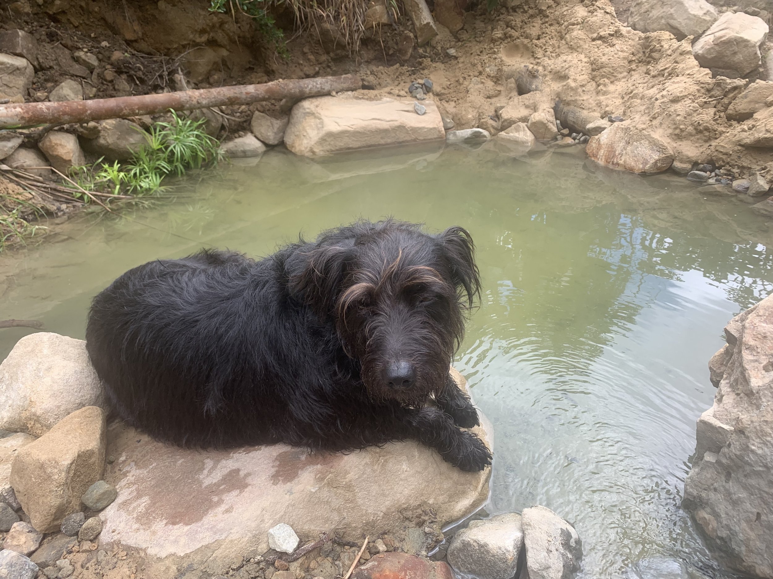 Sati at the hot springs