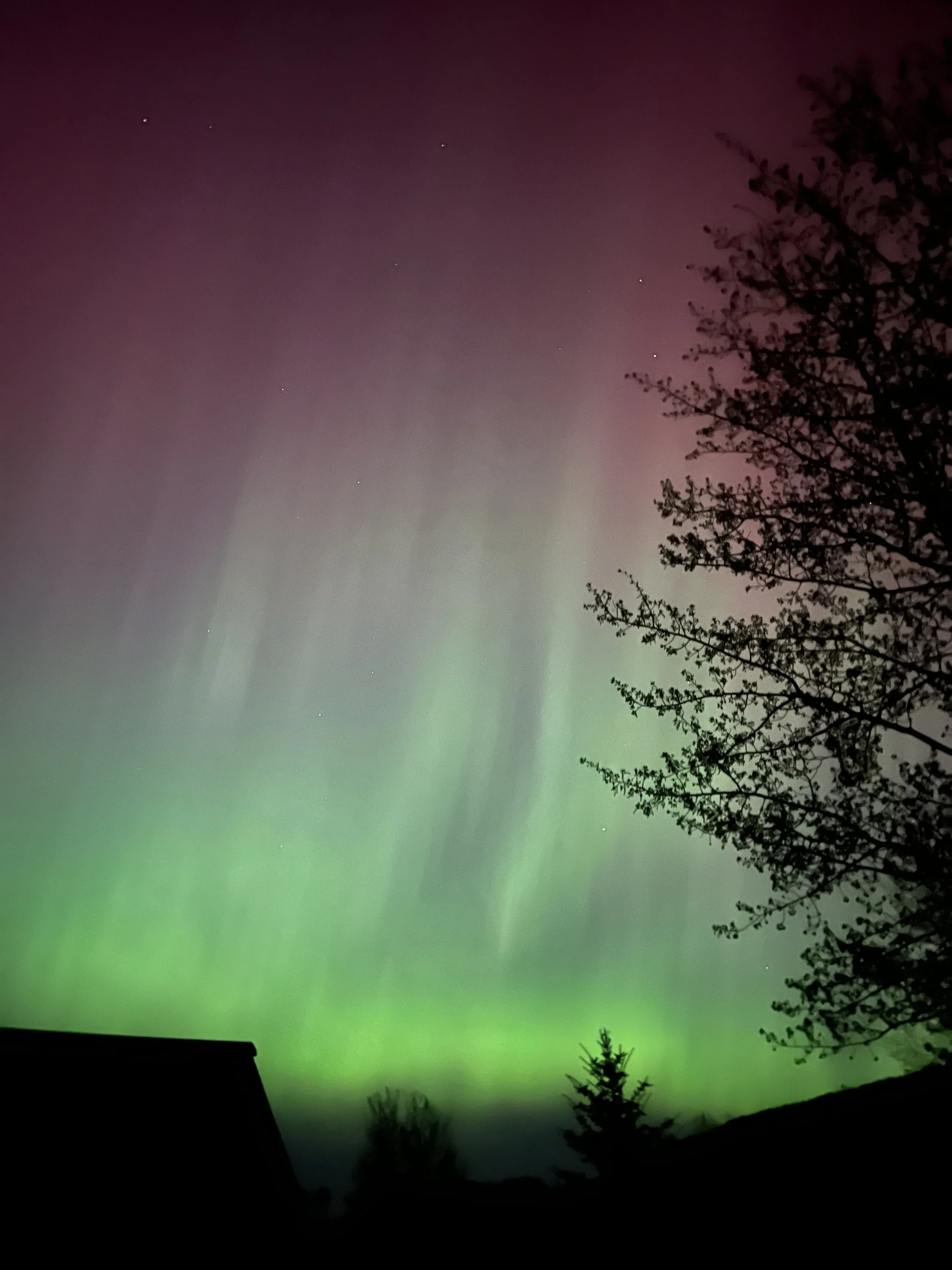 Northern Lights Teton Valley