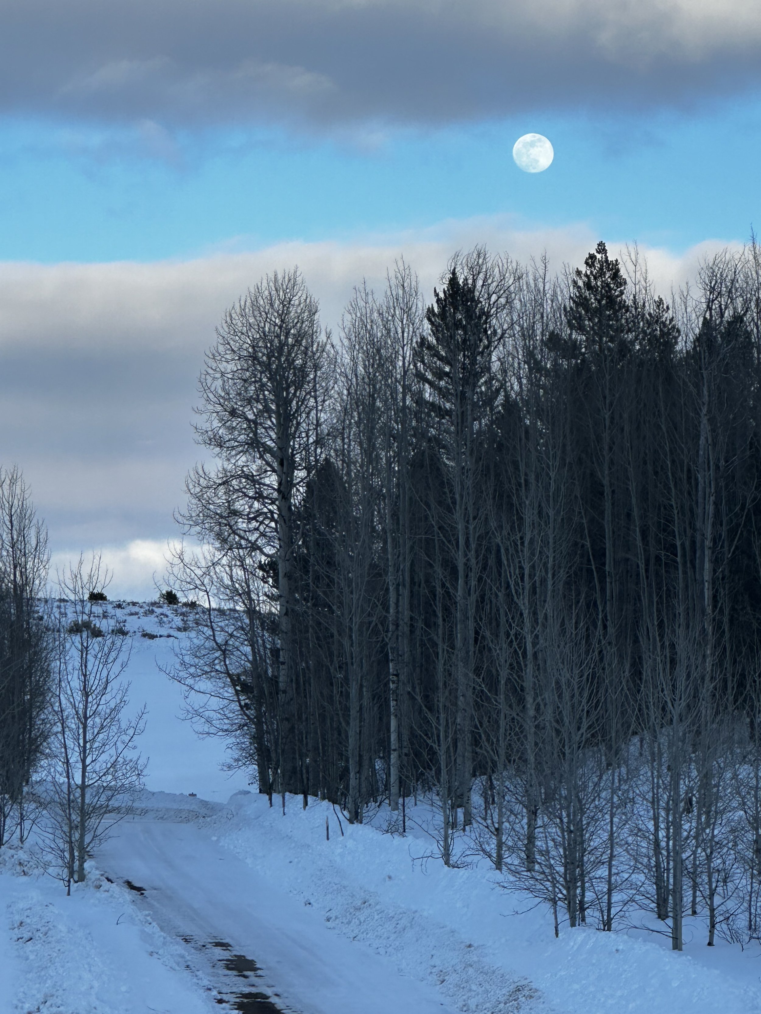 Full Moon Henderson Canyon