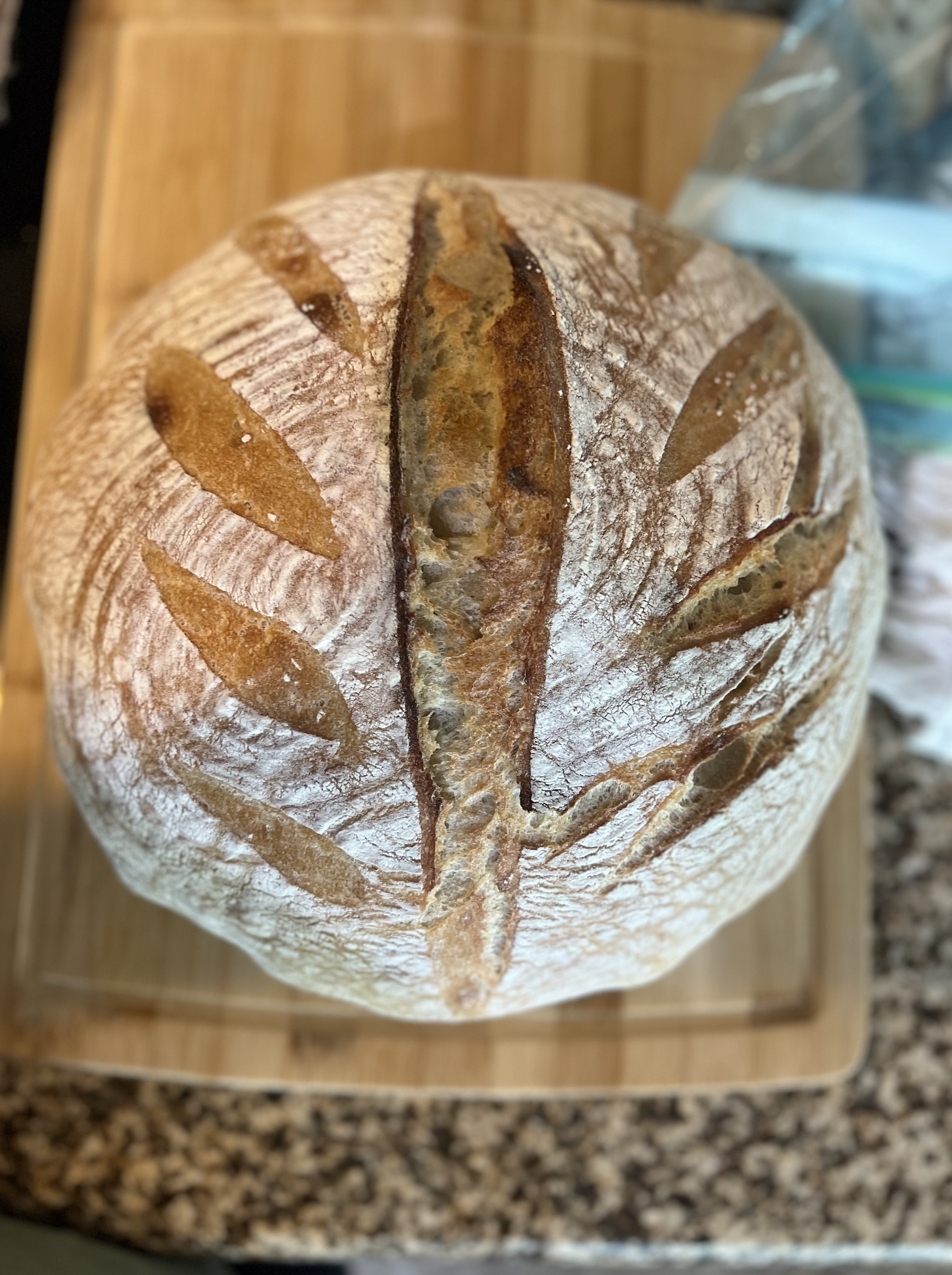 Screen Shot 2025-12-08 at 8.20.50 PM.png