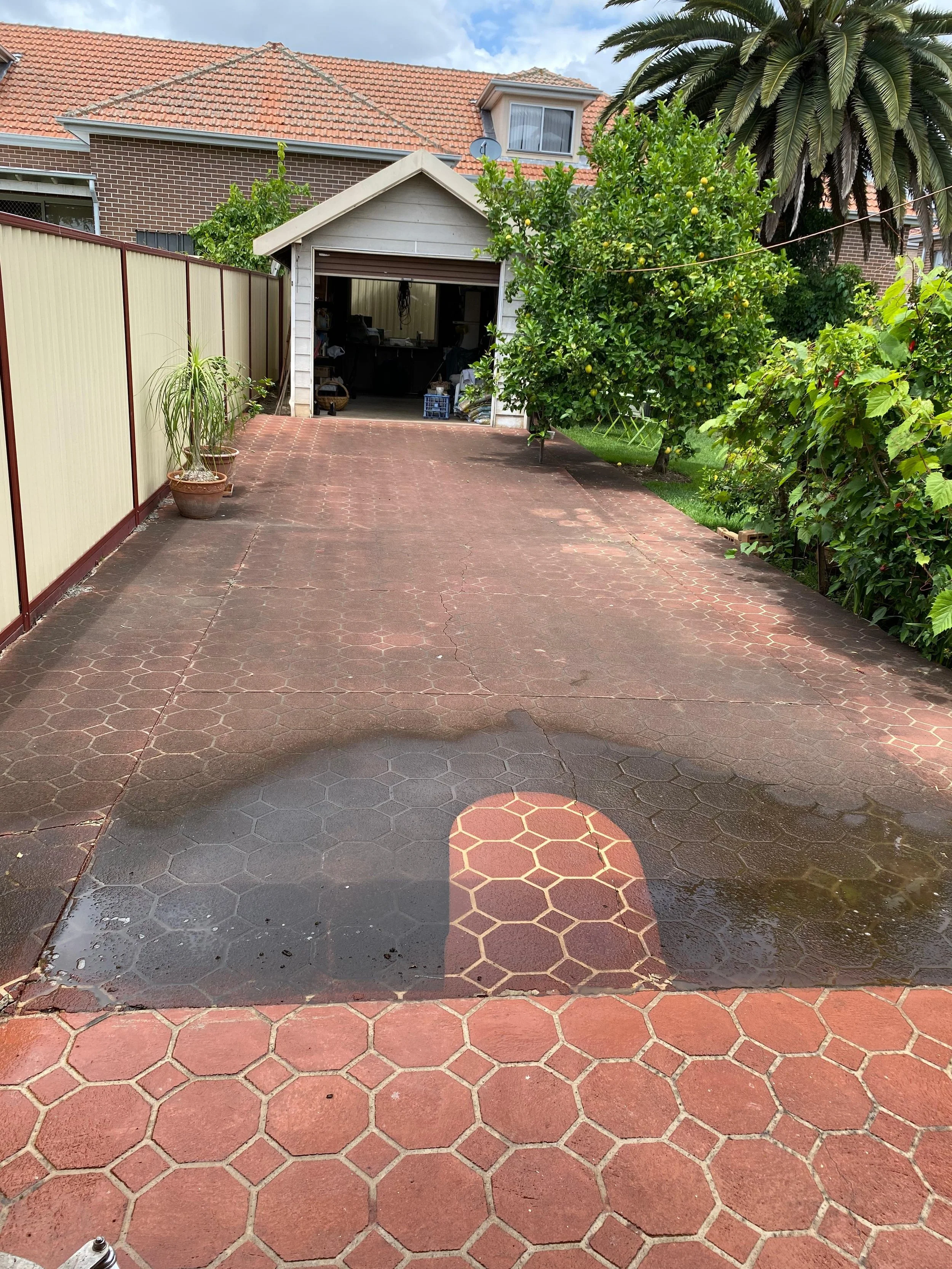 WhatsApp Image 2025-11-29 at 1.37.51 PM (14).jpeg