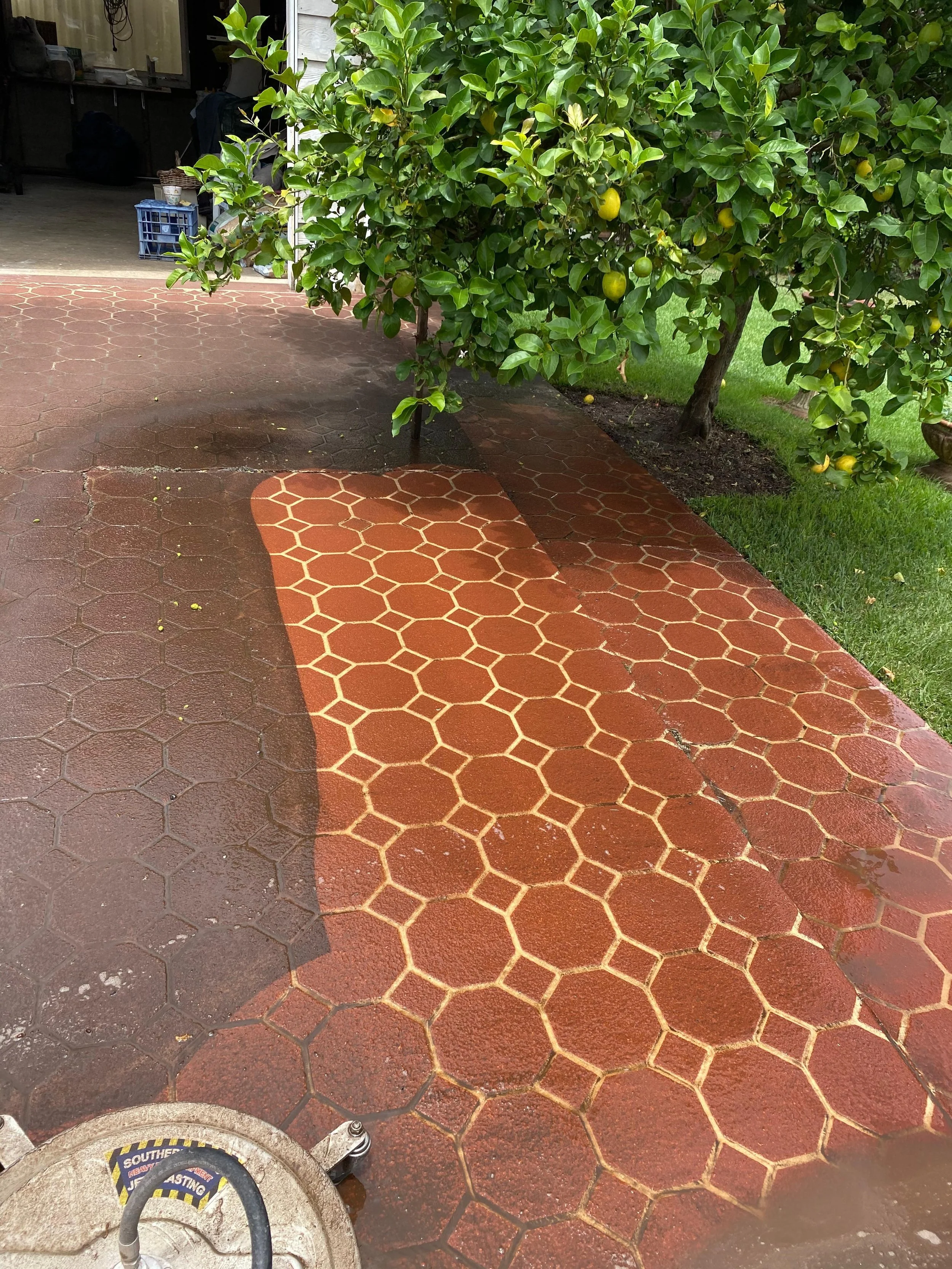 WhatsApp Image 2025-11-29 at 1.37.51 PM (10) - Copy.jpeg