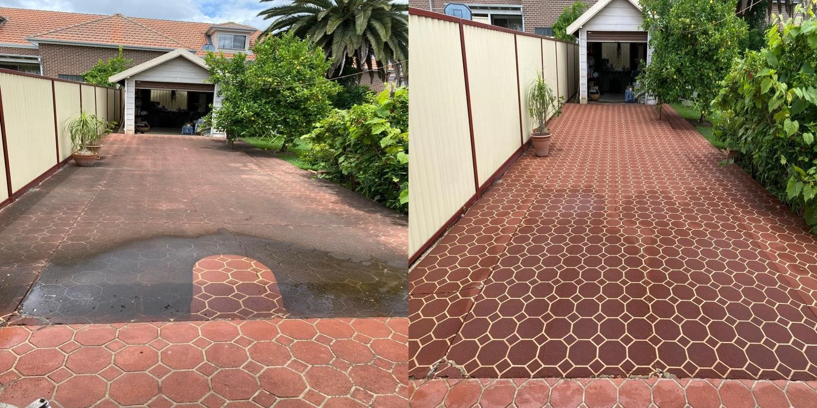 WhatsApp Image 2025-11-29 at 1.37.51 PM (12).jpeg