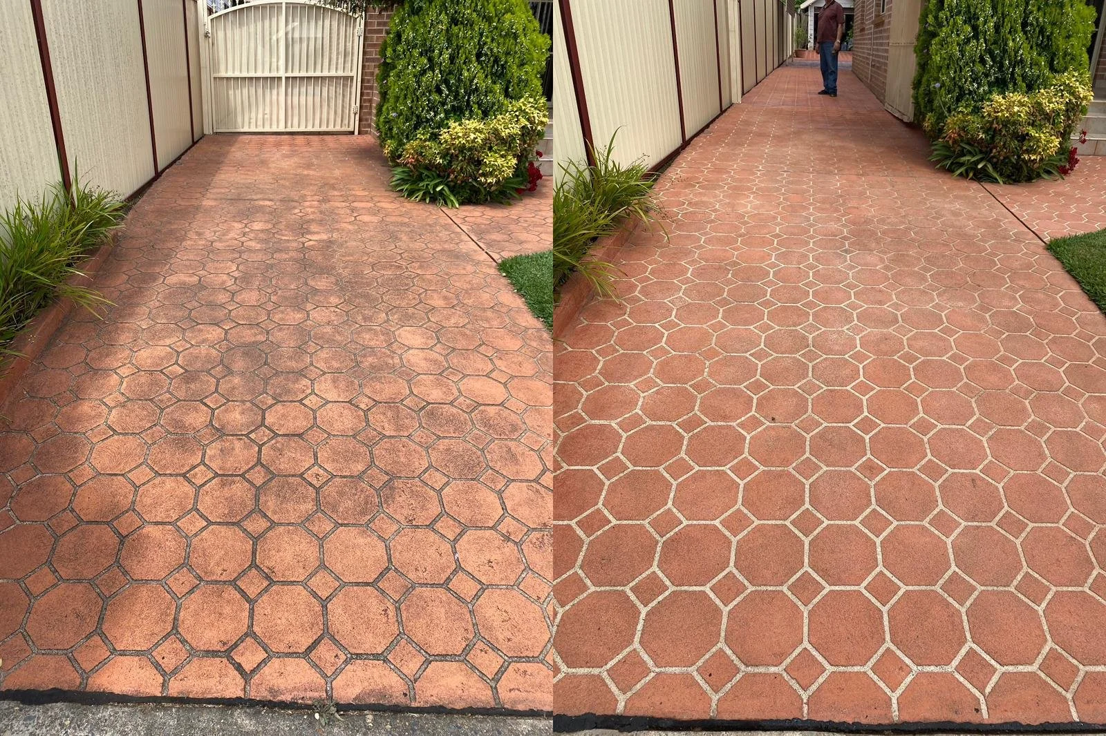 WhatsApp Image 2025-11-29 at 1.37.51 PM (11).jpeg