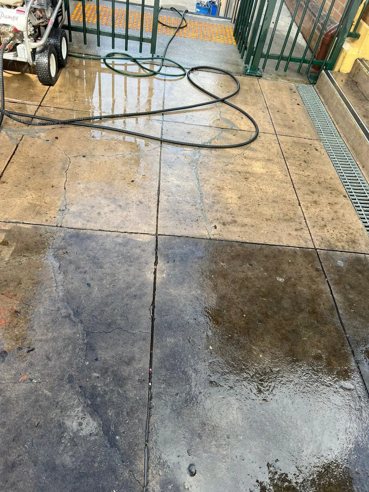 WhatsApp Image 2025-11-29 at 1.37.51 PM (1) - Copy.jpeg