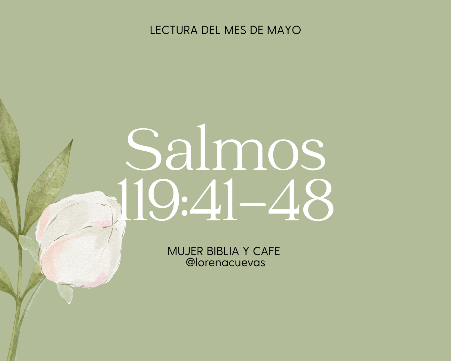 Salmos 119:41-48