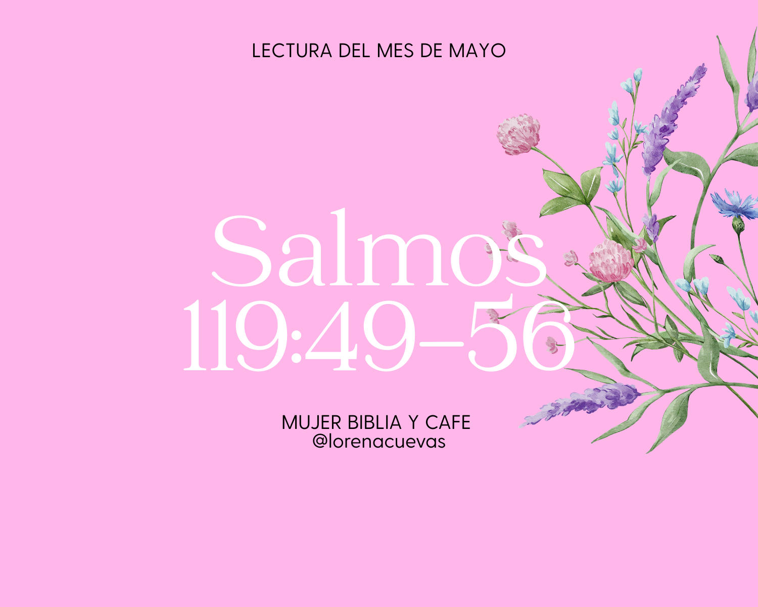 Salmos 119:49-56