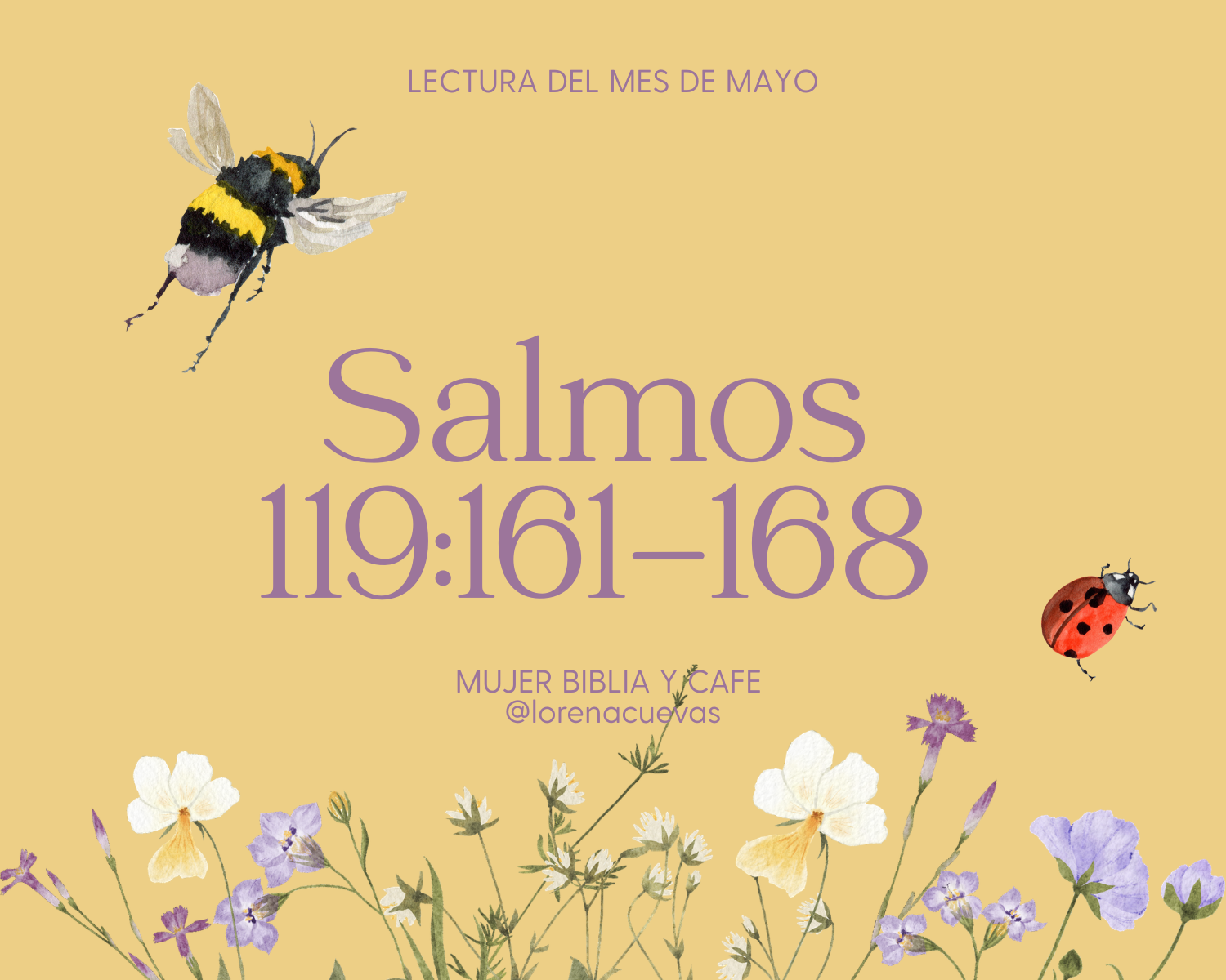 Salmos 119:161-168