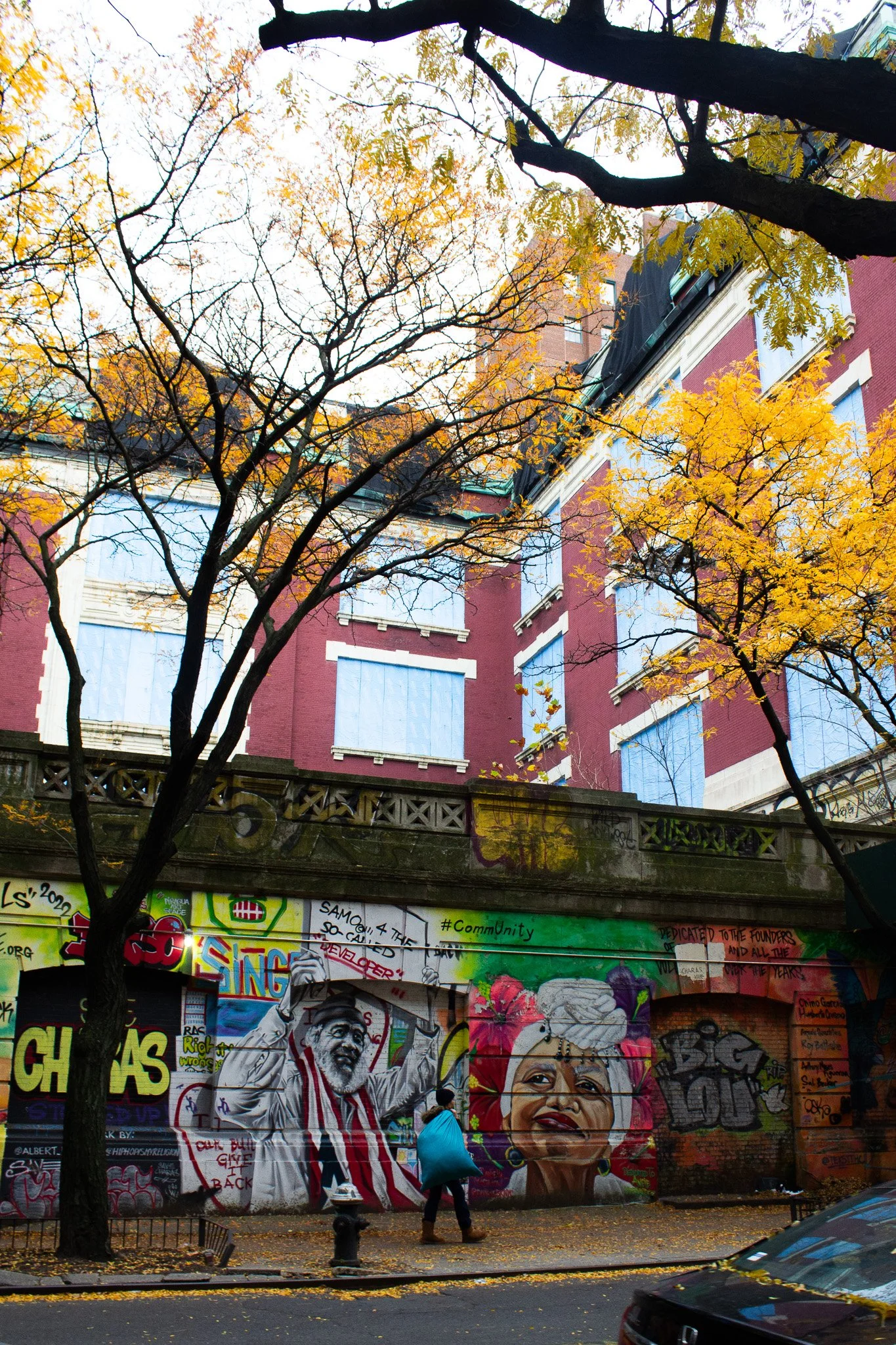 Graffiti art on a city wall with colorful portraits of two people, a man and a woman, surrounded by trees with autumn foliage, in an urban setting.