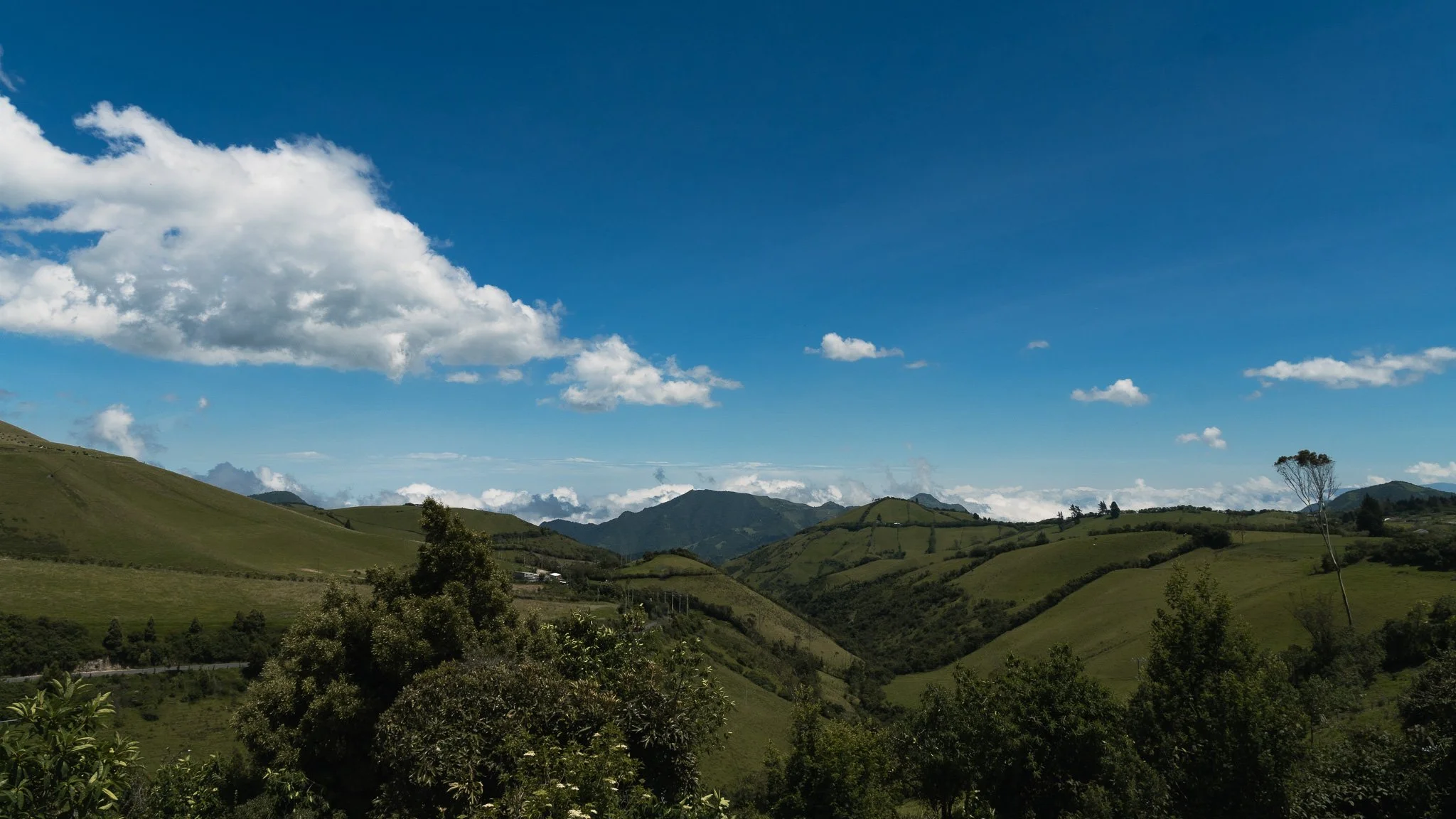 Rolling green hills under a bright blue sky with scattered white clouds, and a few trees dotting the landscape.