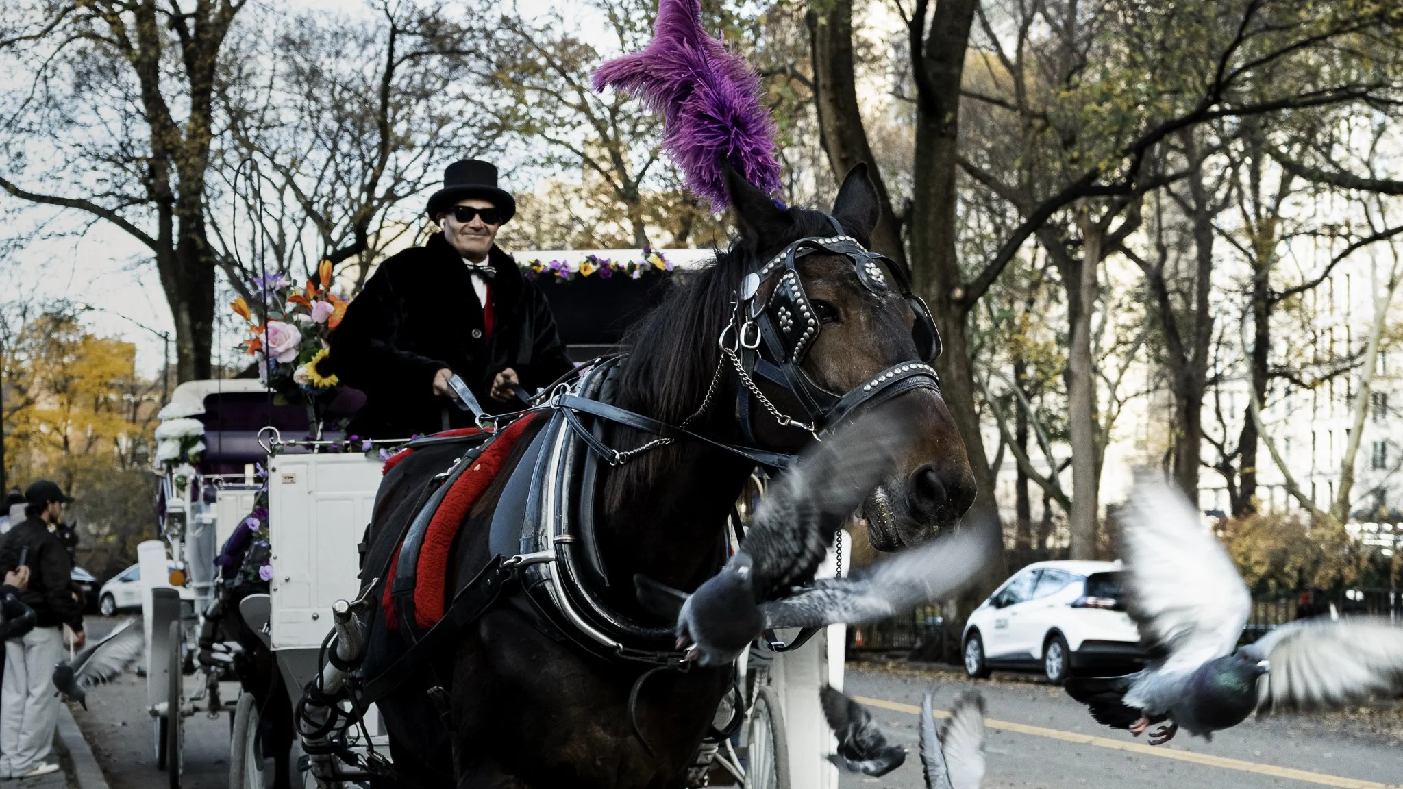 A man dressed in formal attire with sunglasses riding a decorated horse-drawn carriage during an outdoor event in autumn.