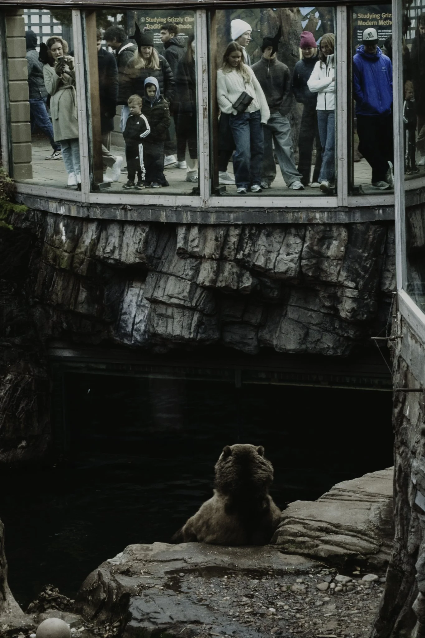 A group of people, including children and adults, are standing inside a glass enclosure near a rocky area and water. A bear is sitting on the rocks outside the enclosure, facing away from the camera.