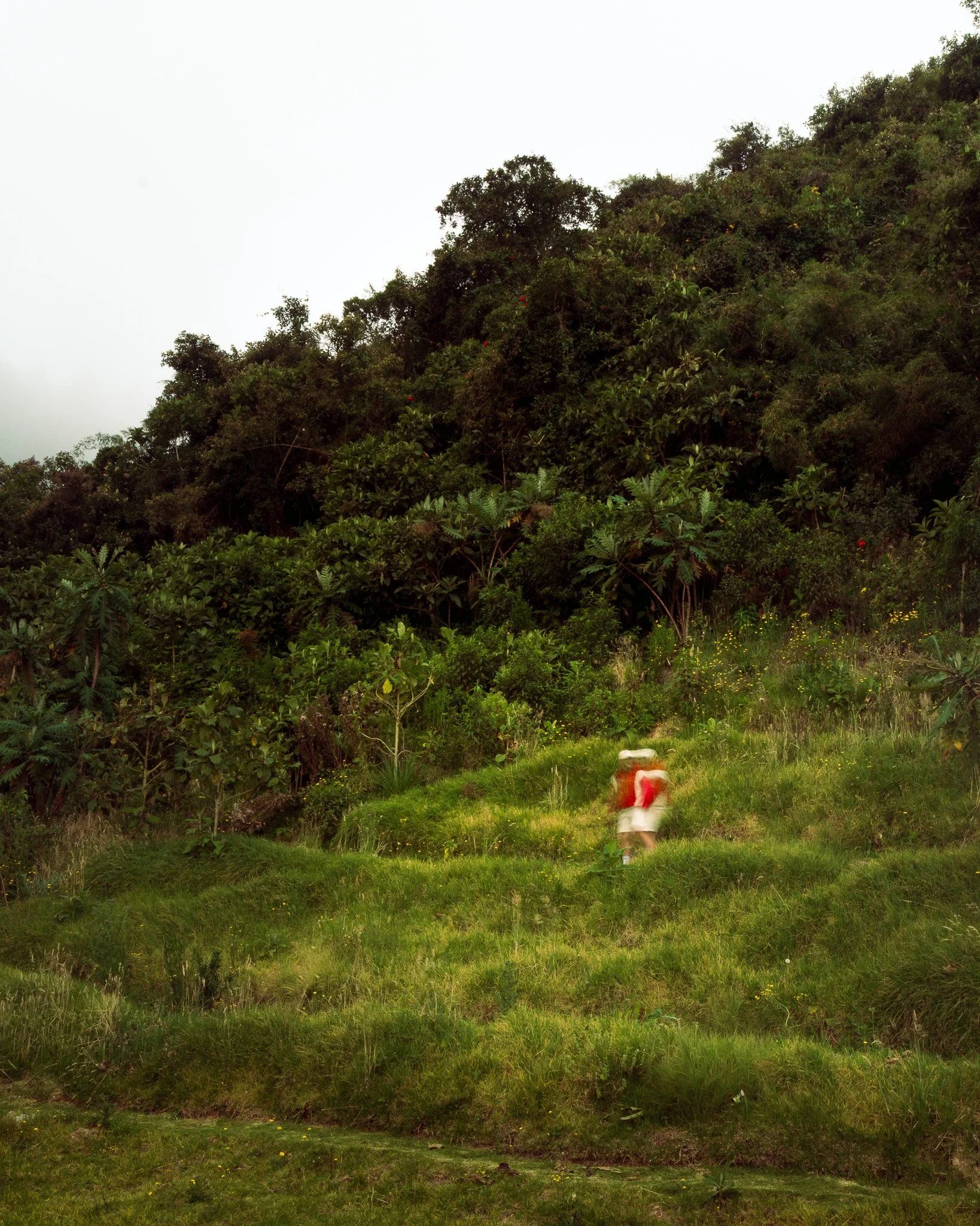 A person dressed in red and white walking through a green field with trees and bushes on the hillside in the background.