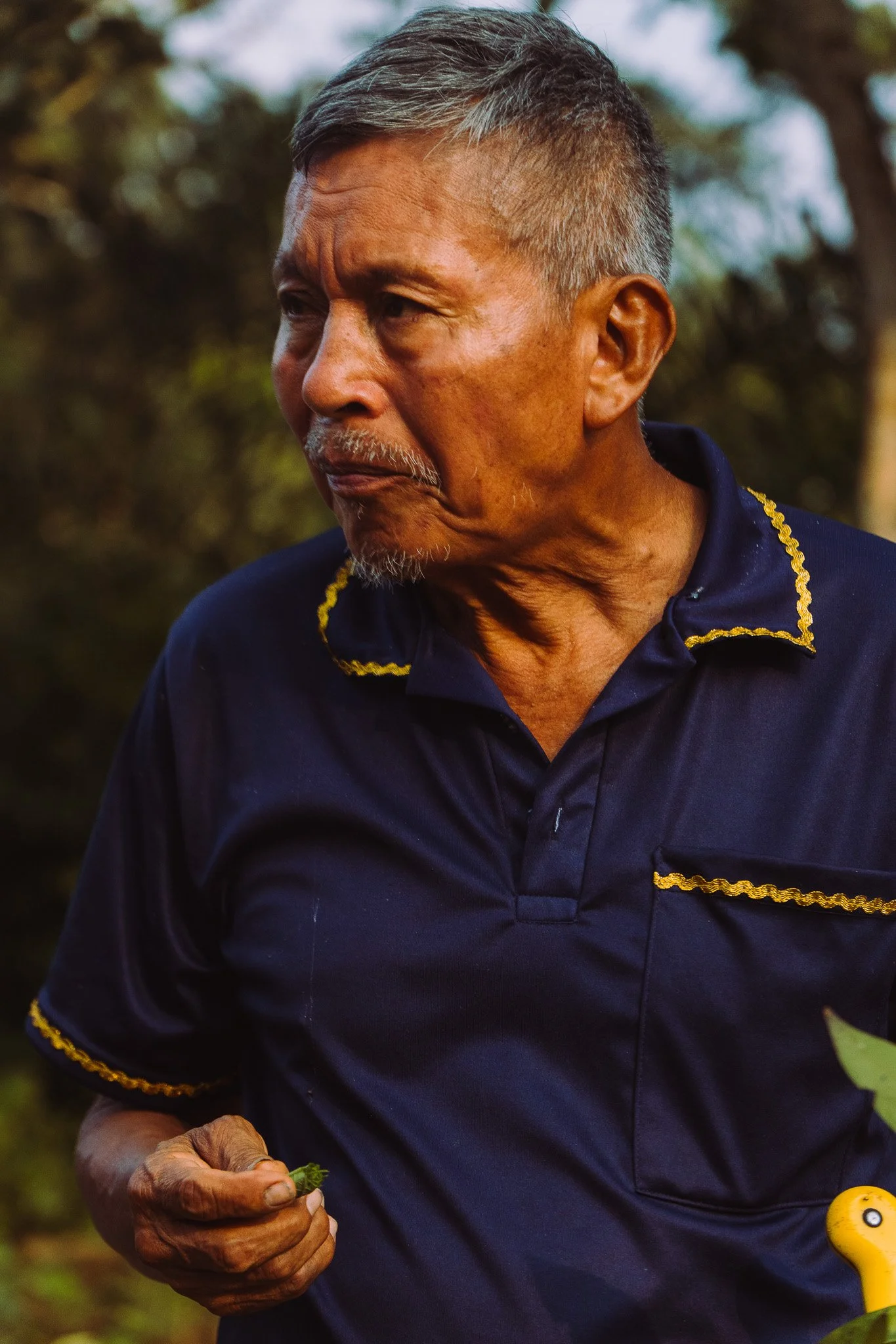 A close-up of an elderly man with gray hair and a mustache wearing a navy blue shirt with yellow embroidery, outdoors during daytime. He is holding a small piece of green plant or leaf in his right hand, and a yellow and black gardening tool is visib