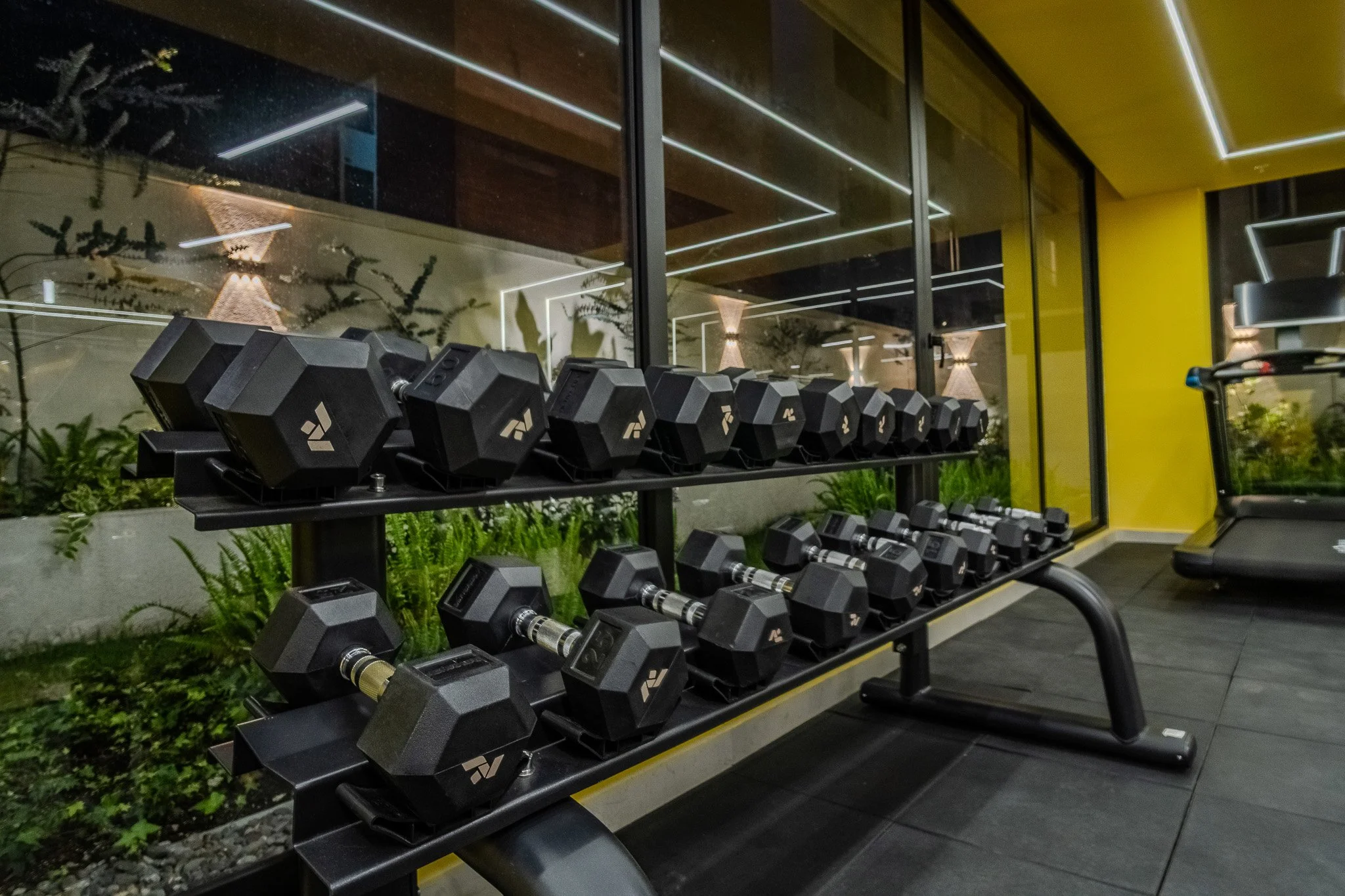 A gym with a row of black dumbbells on a rack, situated next to a large window with a reflective surface. The gym has a modern design with yellow walls and mirrored ceiling lighting, and some greenery is visible outside through the window.