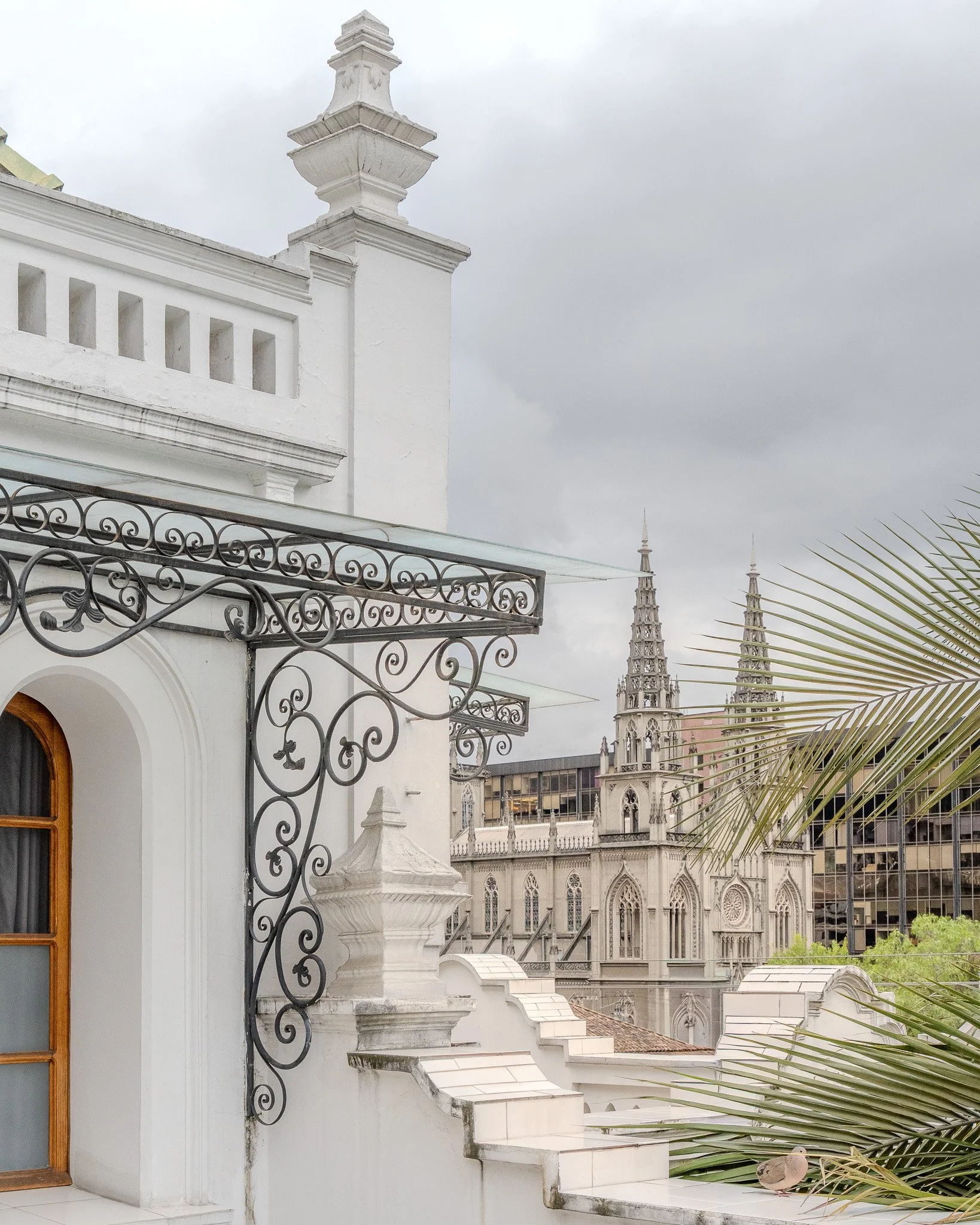 White building with ornate wrought iron balcony, cloudy sky, and gothic cathedral spires in the background, with a pigeon perched on a palm frond.