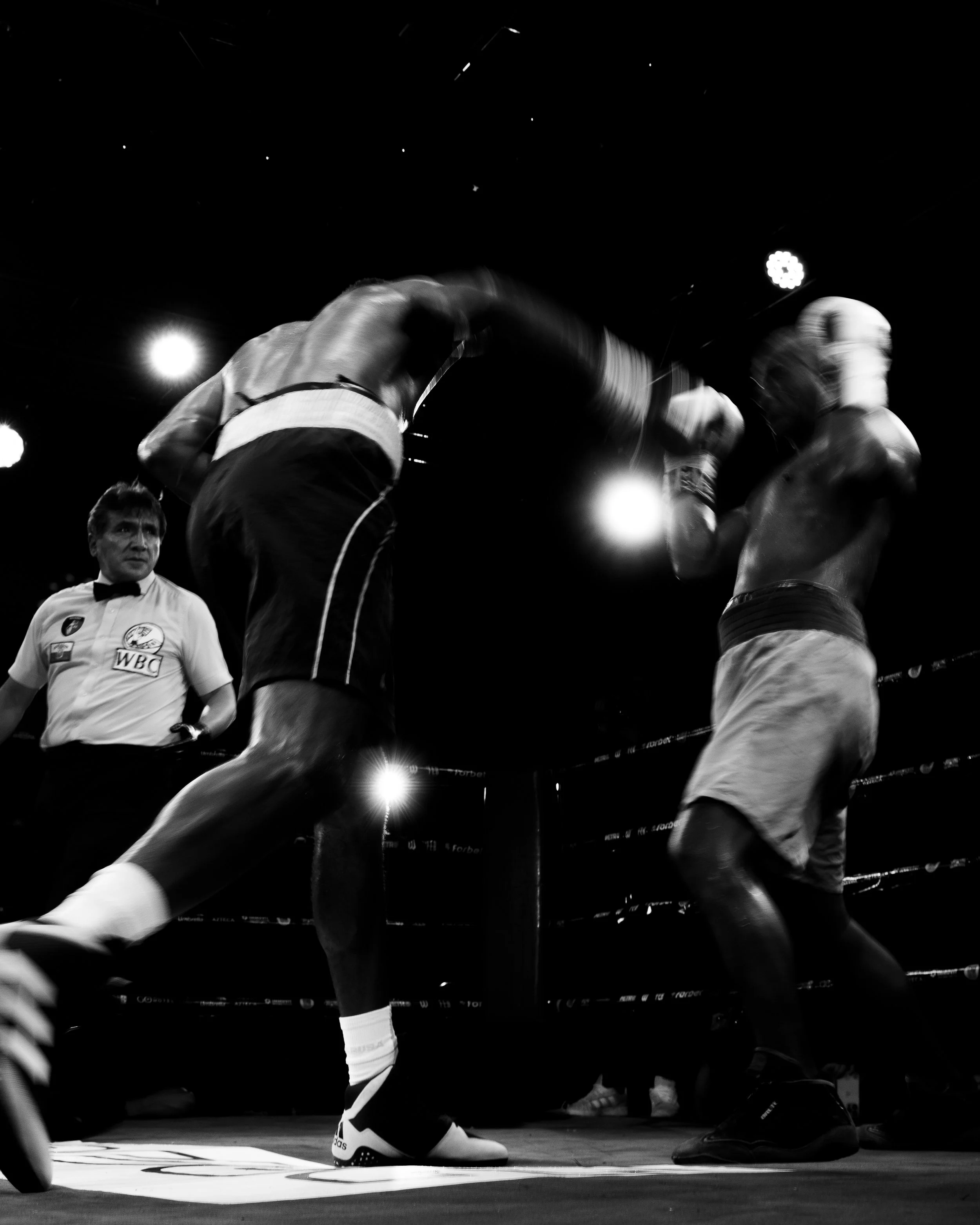 Boxers in a match with referees and officials nearby, black and white photograph.