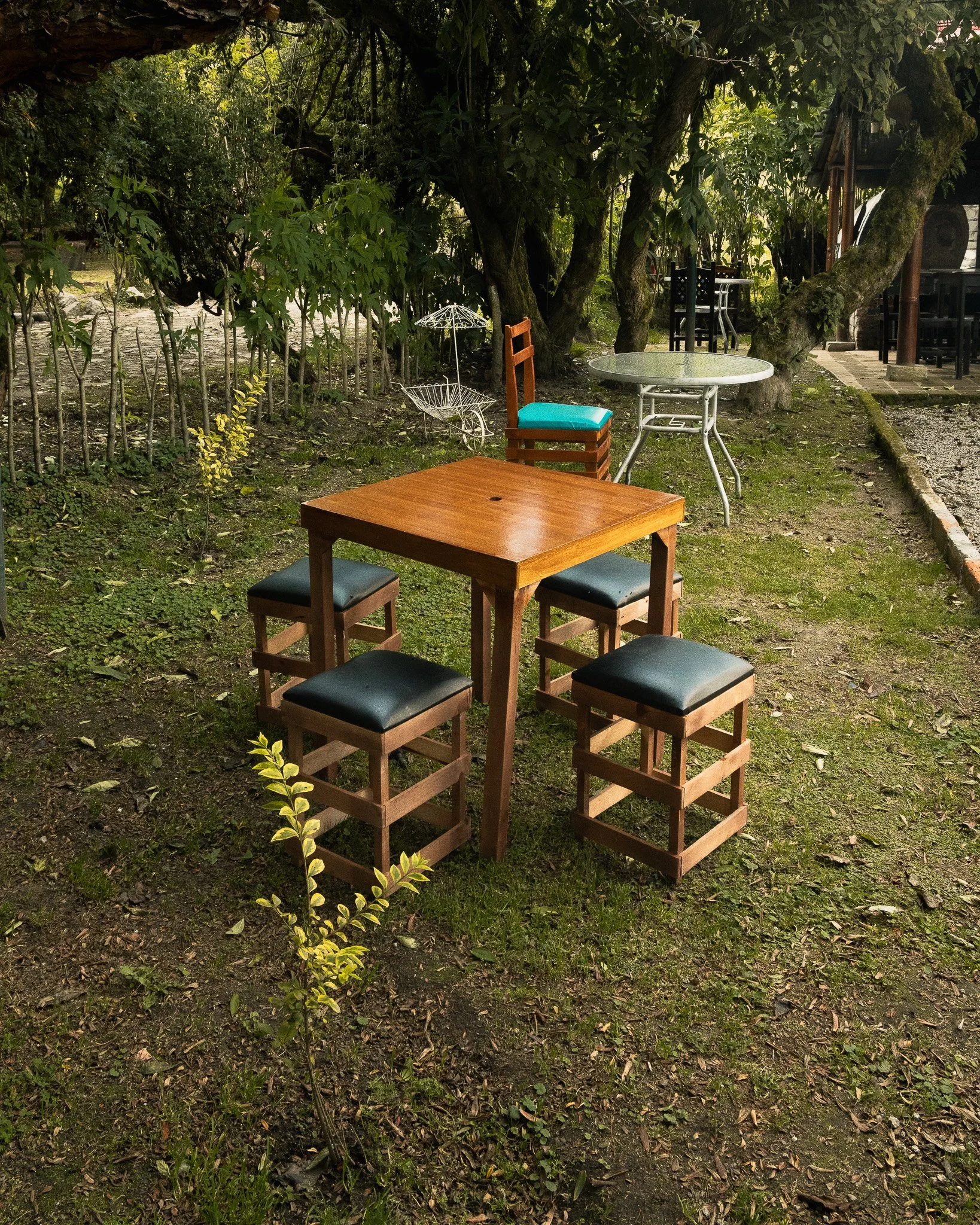 Outdoor patio area with various tables and chairs among trees and greenery, with natural ground surface of grass and scattered leaves.