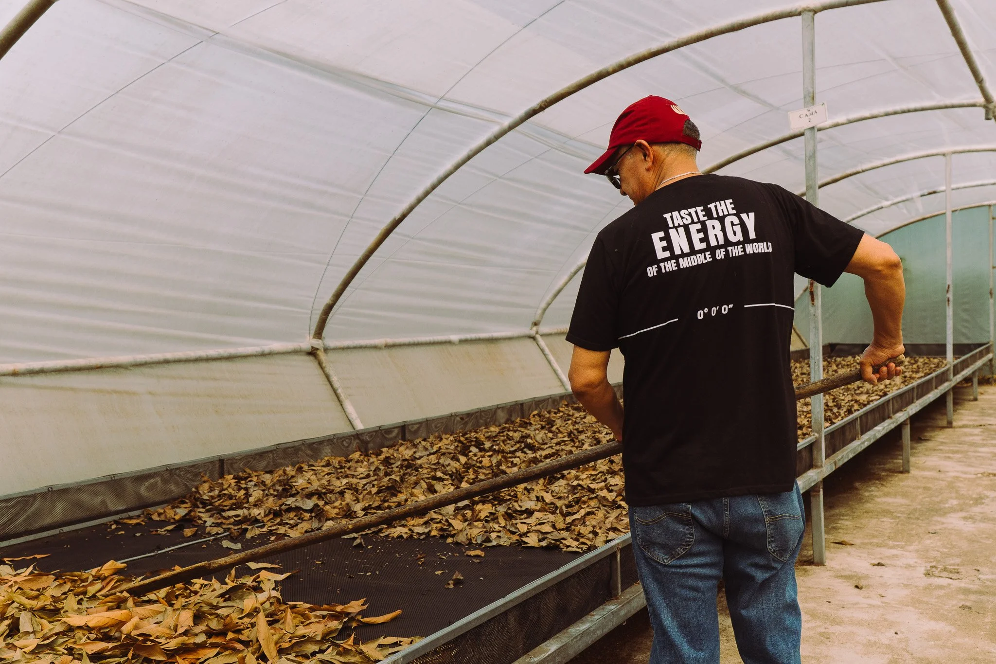 A man wearing a red cap, sunglasses, and a black t-shirt with white text is standing in a greenhouse or nursery, tending to a row of pots filled with dried leaves or mulch.