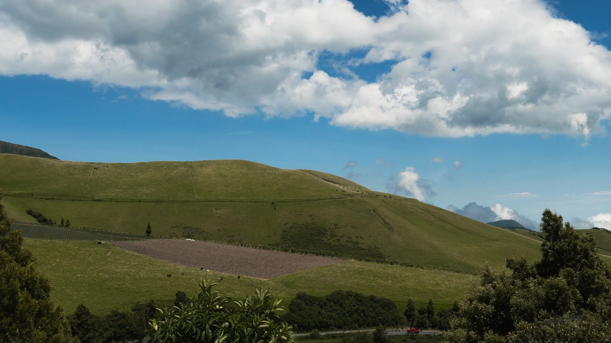 Hilly landscape with green grass and some farmland, under a partly cloudy sky.