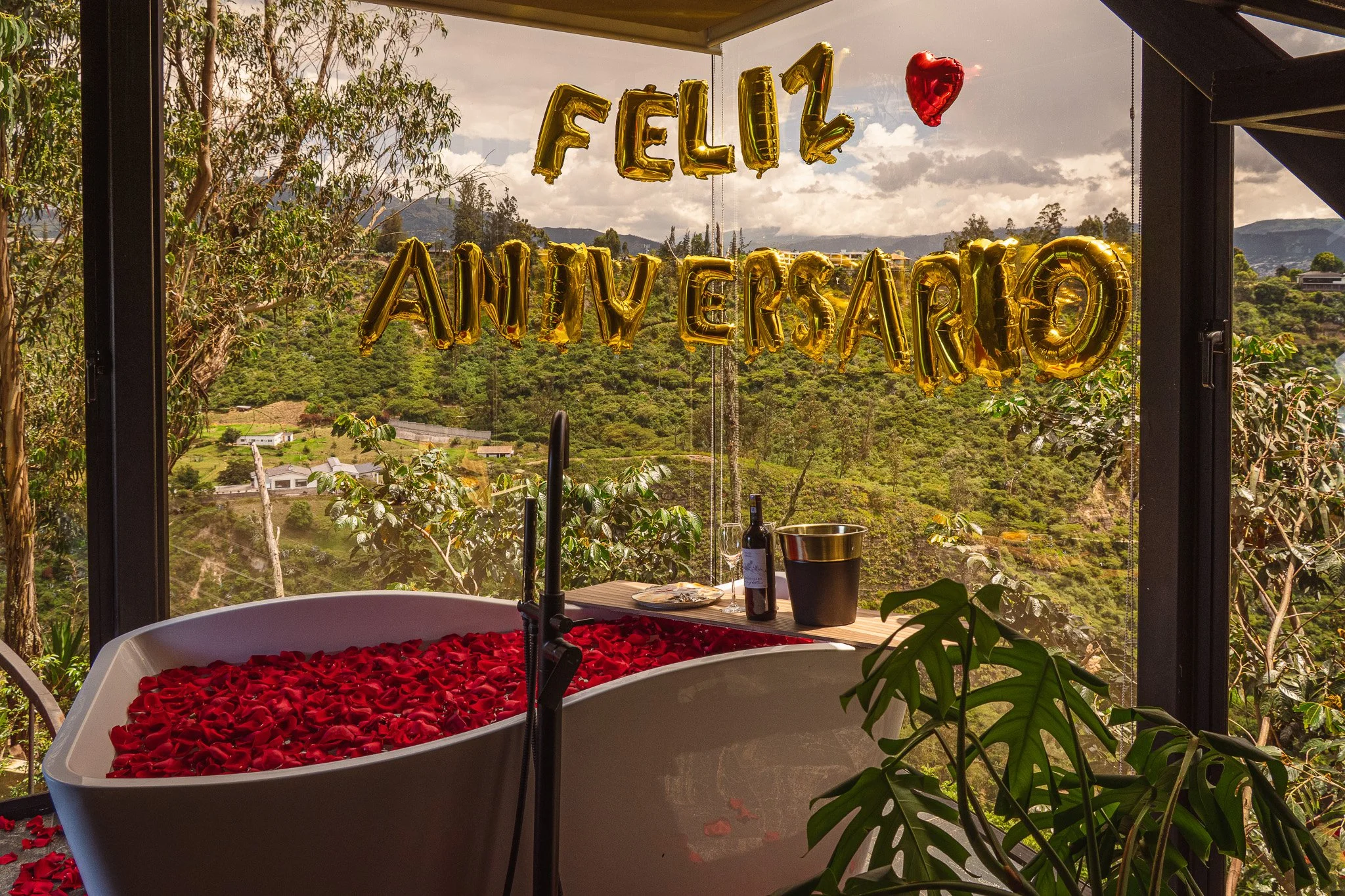 A bathtub filled with red rose petals in a room with large windows overlooking green hills, trees, and a cloudy sky. Gold letter balloons spell 'FEELINGS' and a red heart-shaped balloon hangs above. On the windowsill, there are a wine bottle and a bu
