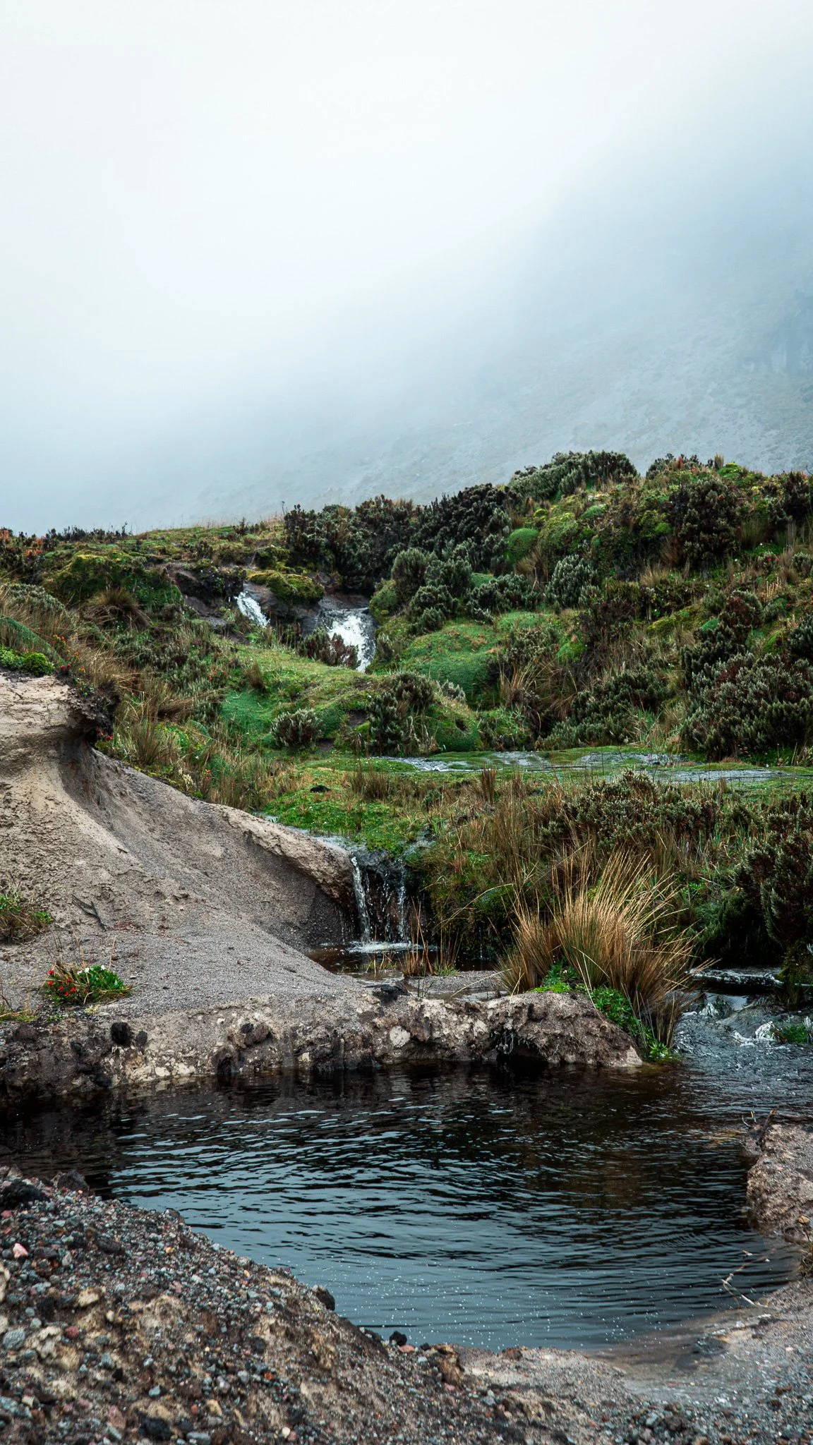 A small stream flows over rocks and mossy terrain in a natural landscape with dense green bushes and plants, mountain slopes in the background, and a cloudy sky above.