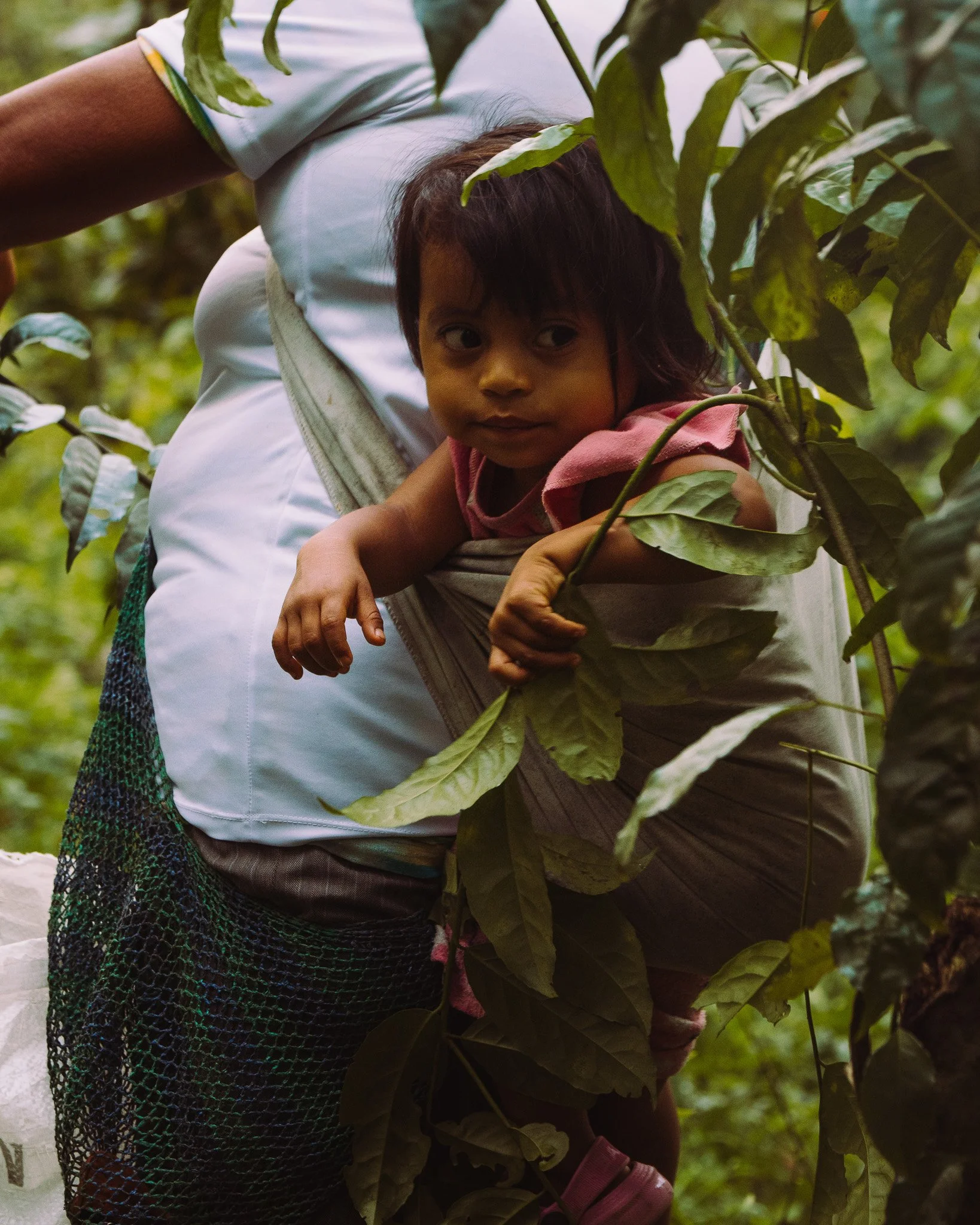 A young girl with dark hair peeking out from behind green leaves during daylight, with an adult nearby in a green and multicolored netted fabric, possibly in a garden or natural setting.