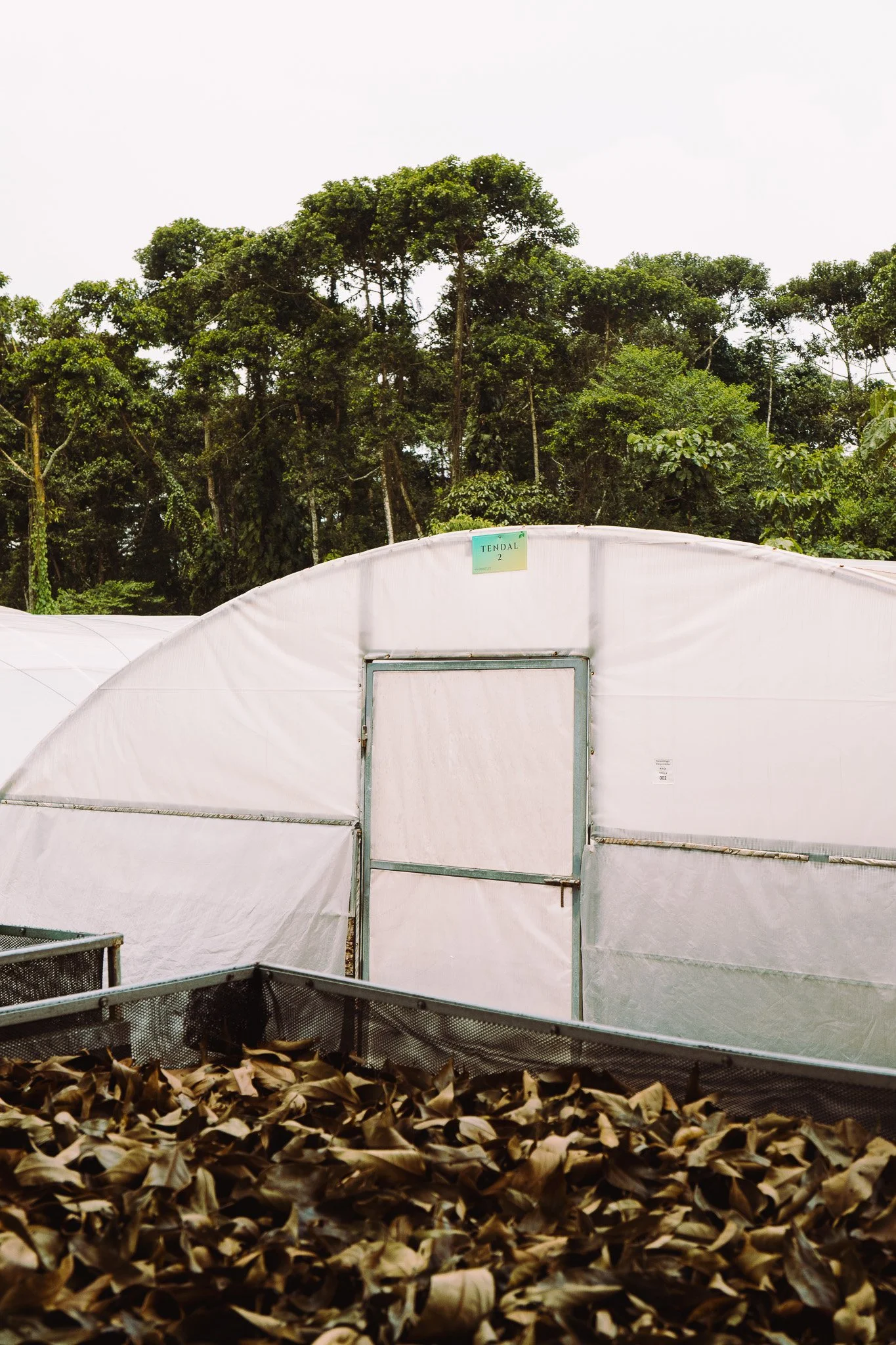 Greenhouse with white fabric walls and leafy trees in the background, leaf-covered ground in the foreground, and a sign labeled 'Tendal 2' above reaching a door.