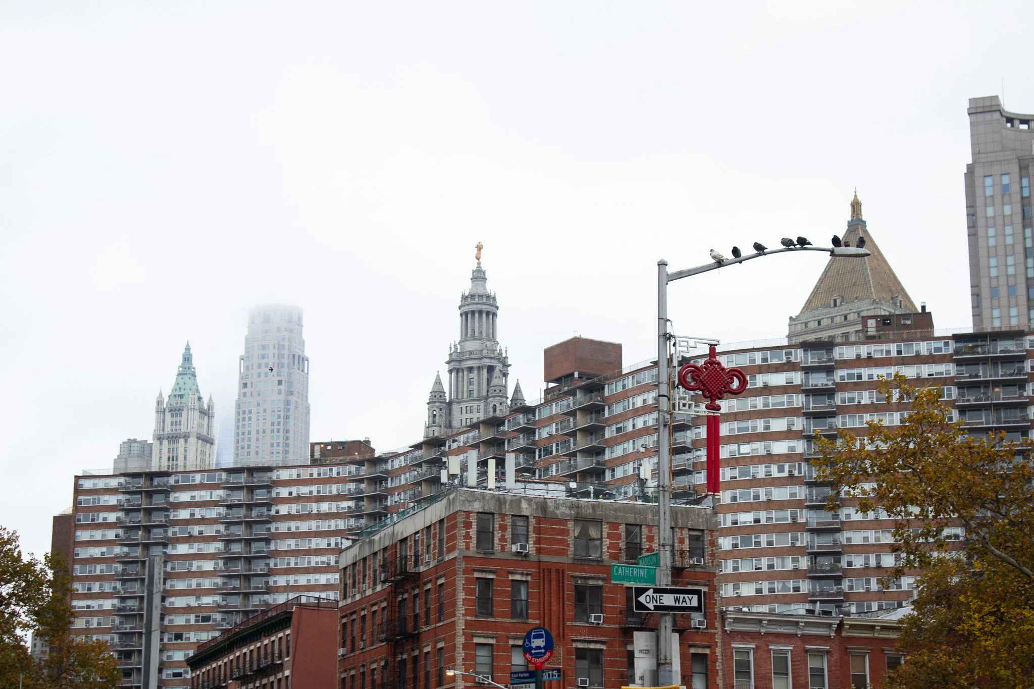 Cityscape of buildings including historic and modern skyscrapers under an overcast sky, with street signs, a traffic light, and a tree in the foreground.