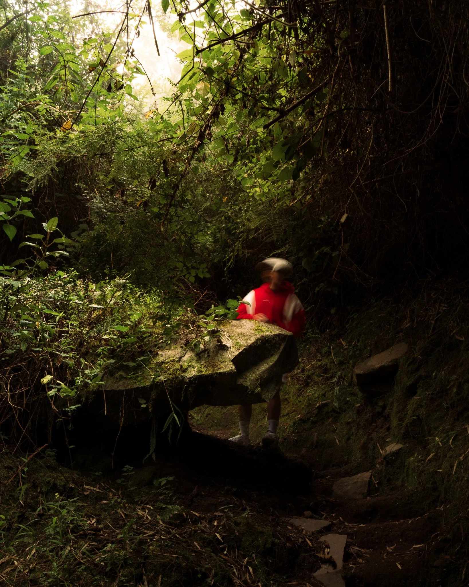 A person wearing a red and gray jacket, dark pants, and a white cap stands near a small stream in a dense, lush forest with green foliage and sunlight filtering through the leaves.