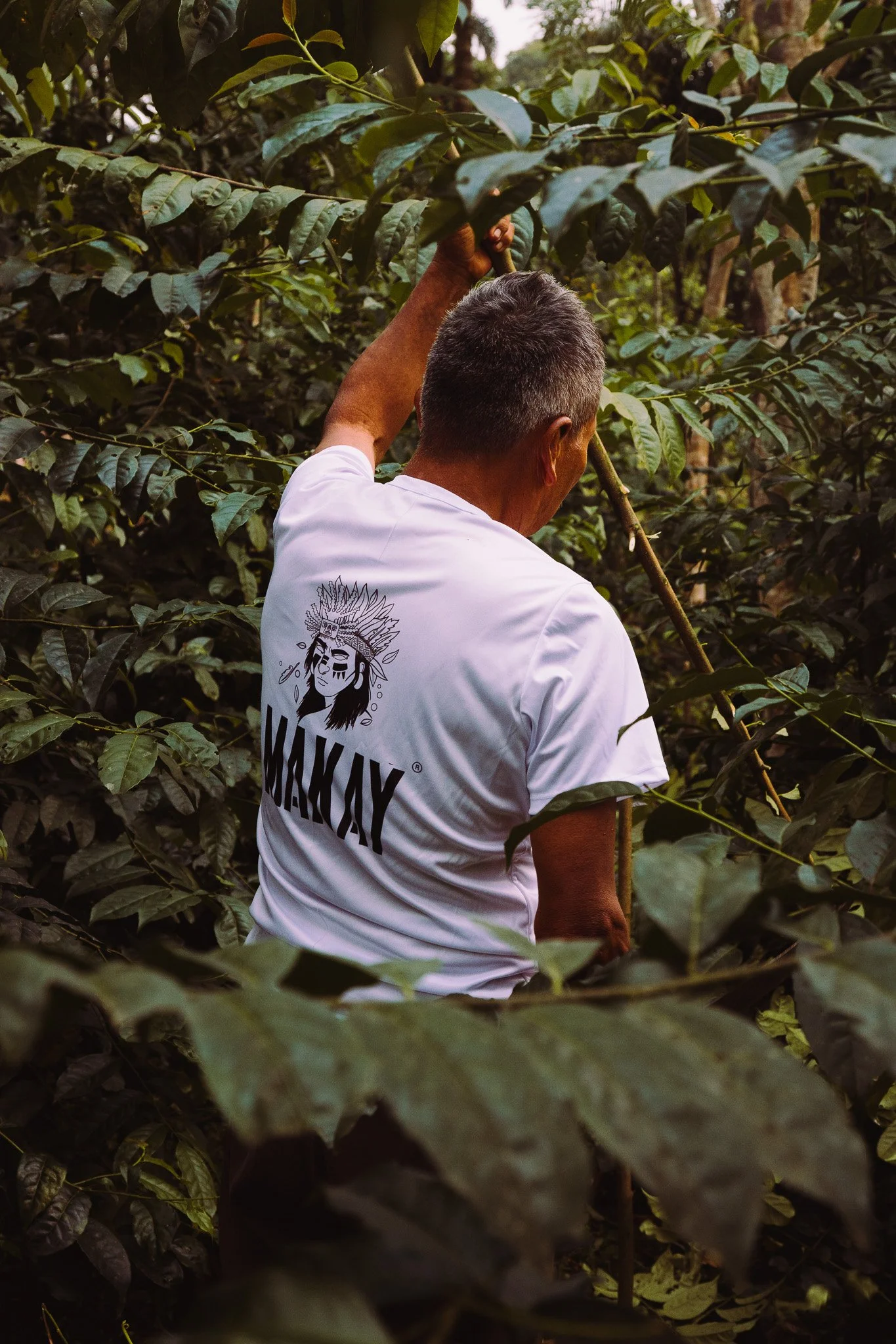 A man with short gray hair wearing a white T-shirt with a graphic design on the back, standing among dense green foliage, holding a branch or stick. The background is filled with leafy plants, indicating a lush, outdoor environment.