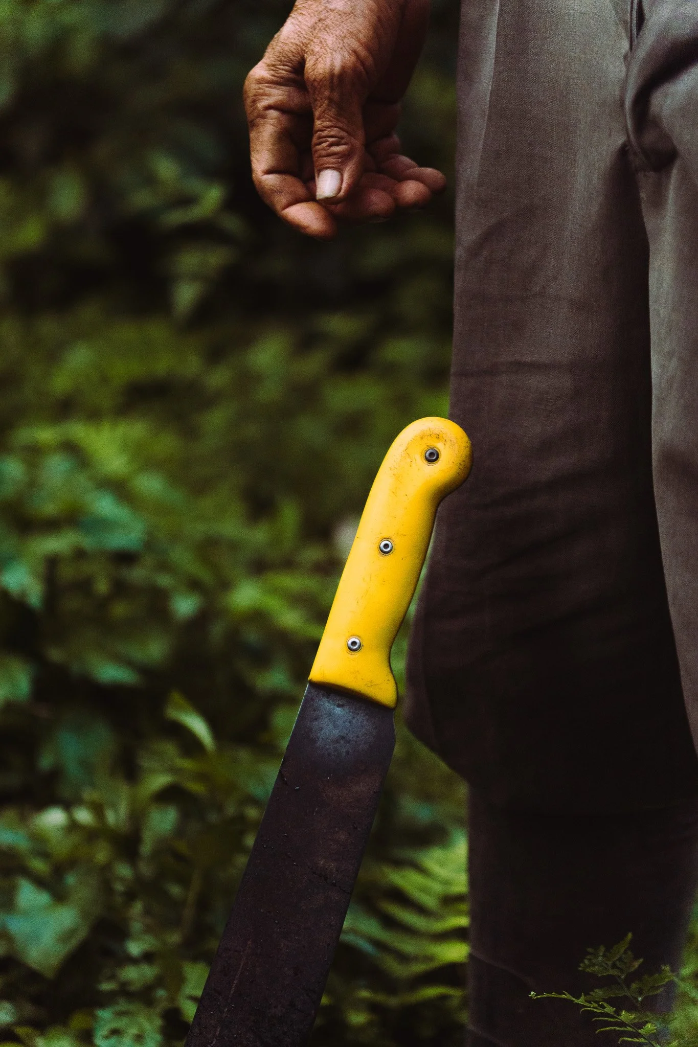 A person holding a gardening tool with a yellow handle, standing outdoors in a green, leafy environment.