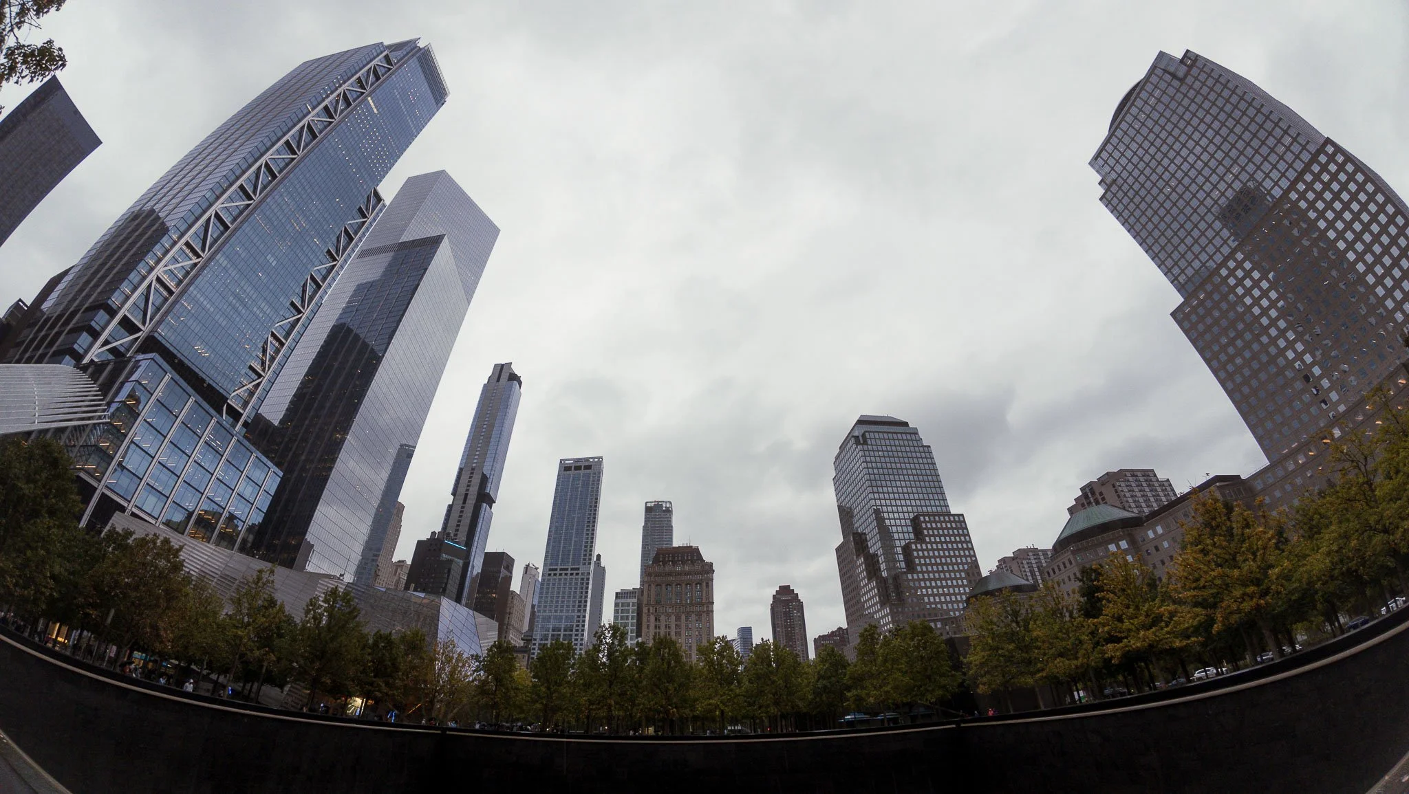 View of modern skyscrapers in a city with trees in the foreground and a cloudy sky overhead.