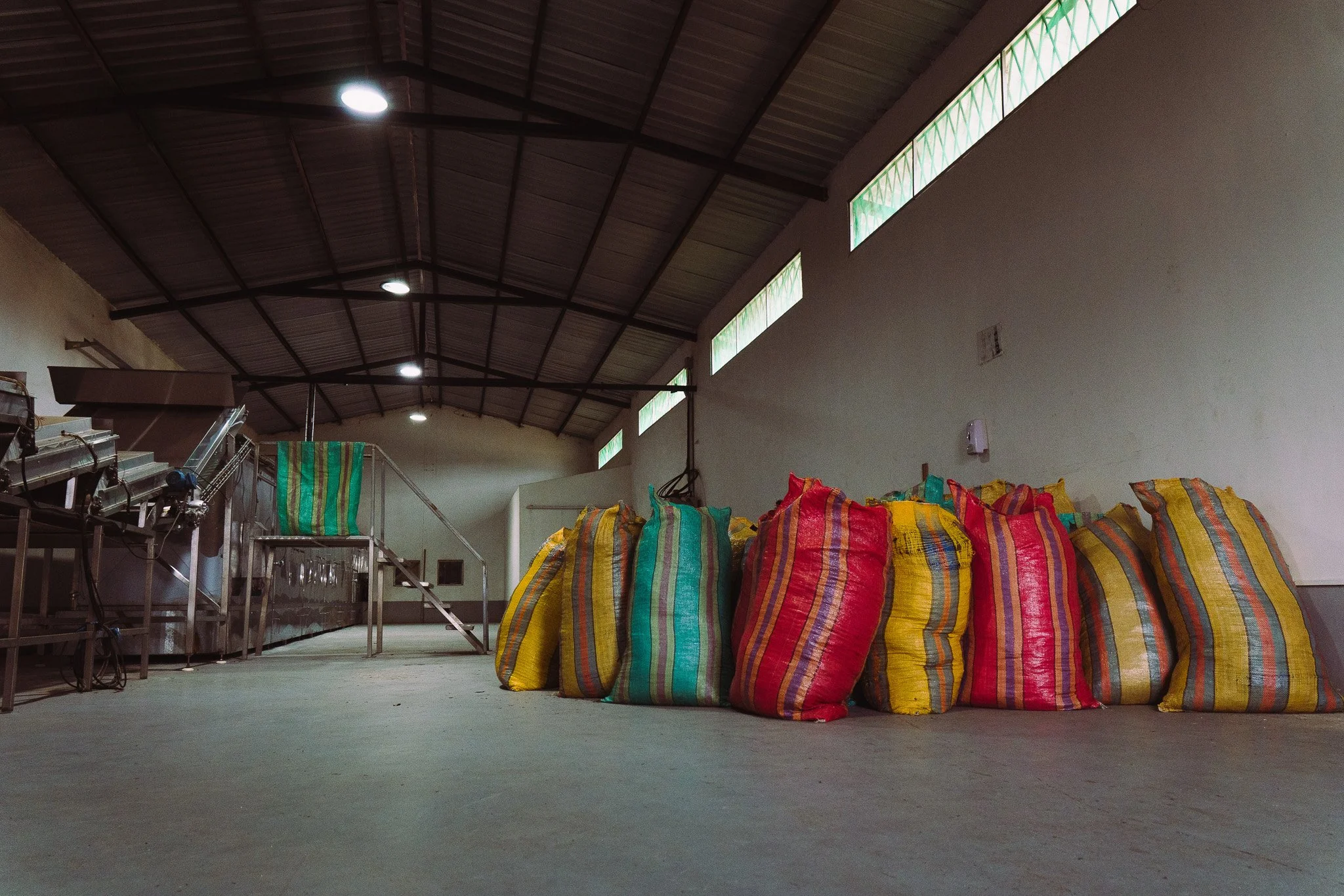 Interior of a warehouse or factory with bags stacked on the right and machinery on the left, high ceiling with wooden panels, and windows with protective grills on the upper part of the wall.