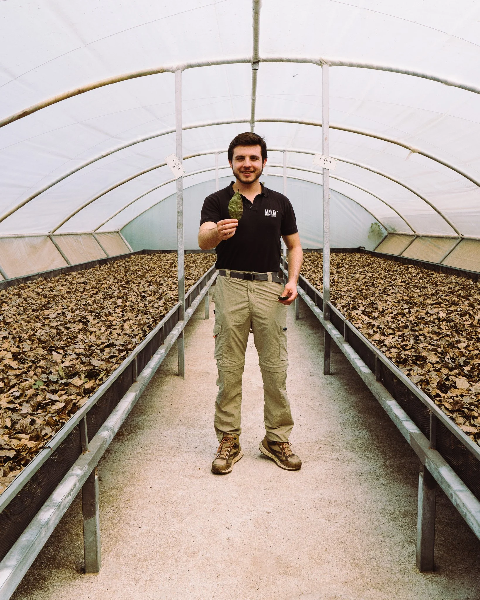A man in khaki pants and hiking boots holding a leaf inside a greenhouse with soil and fallen leaves on the ground.
