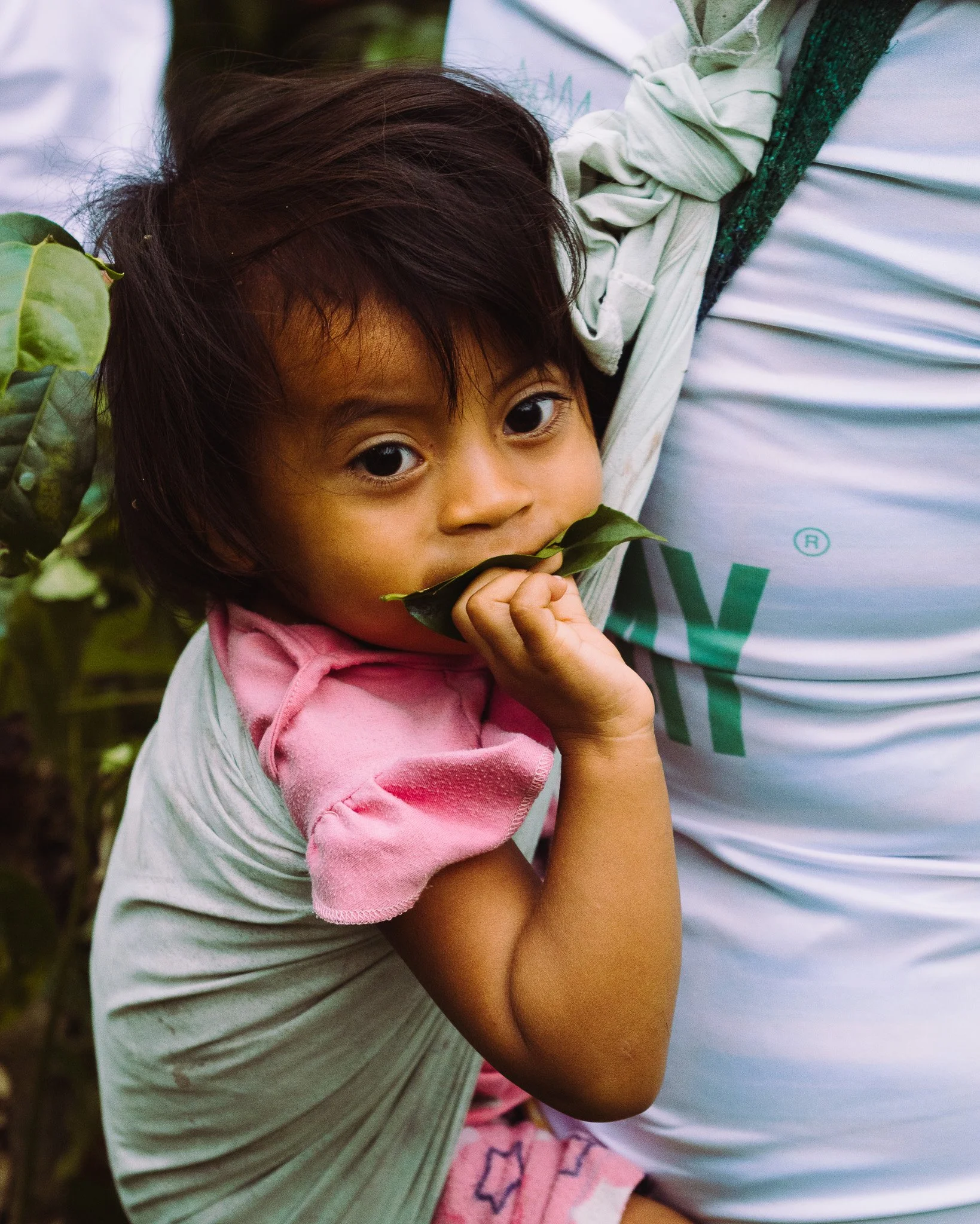 A young girl with dark hair and brown skin, wearing a pink shirt, leaning on an adult's arm, holding a green leaf, outdoors near plants.