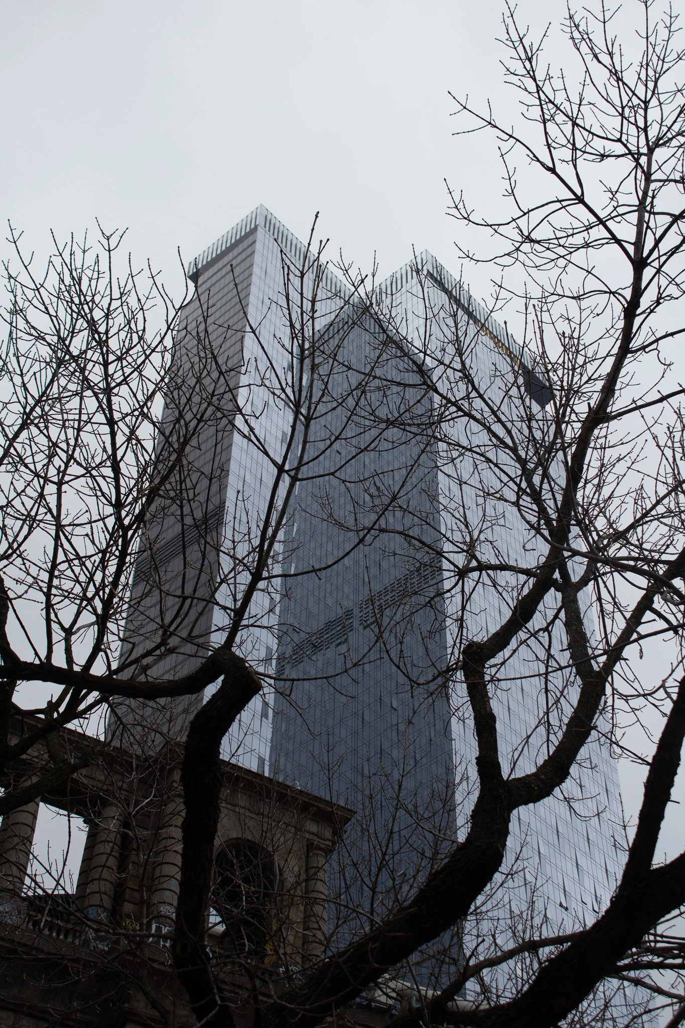 A tall, modern glass skyscraper seen through the bare branches of a tree on a cloudy day.