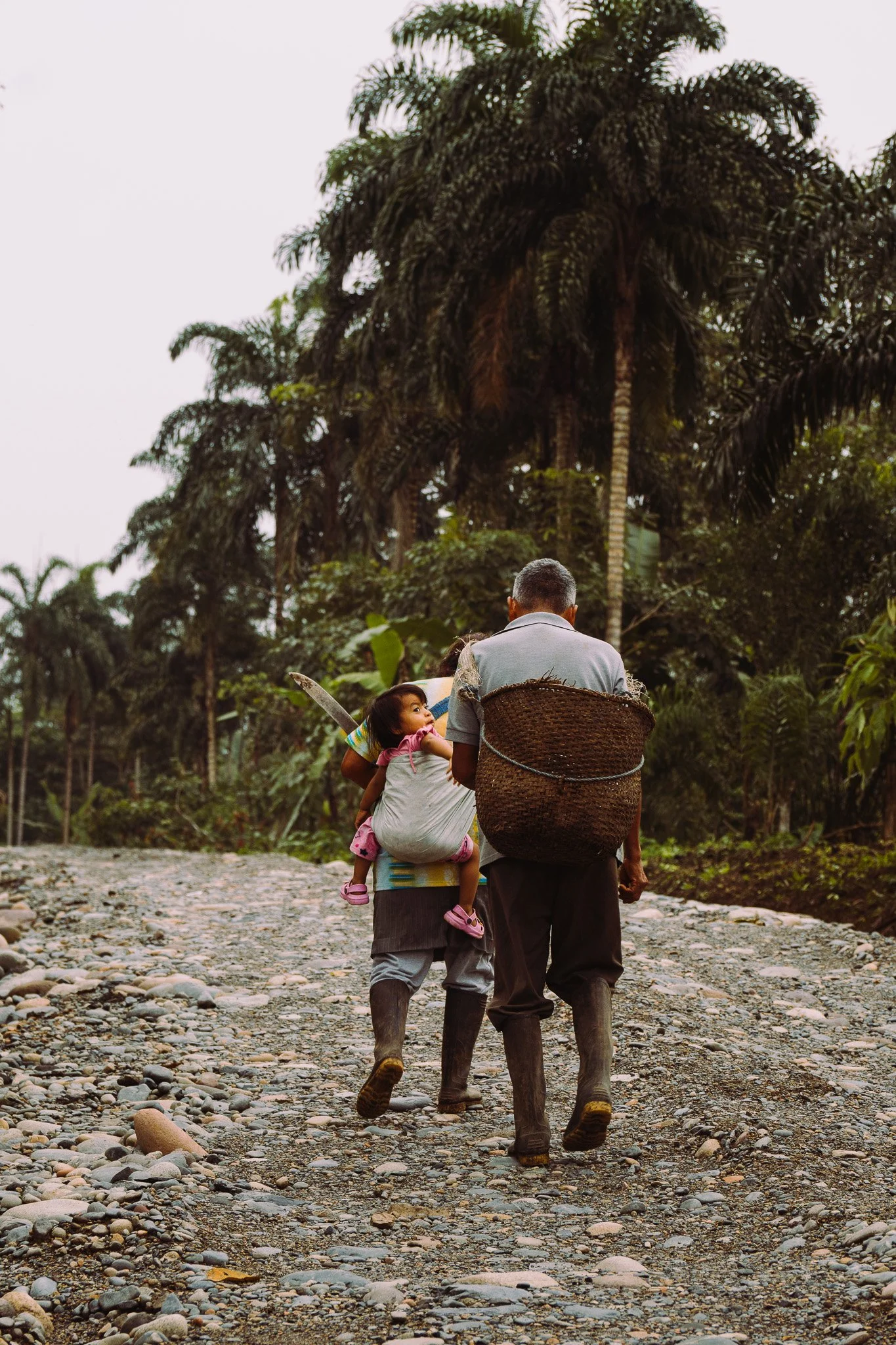 Man walking on a rocky path with a young girl on his back and another man carrying a basket, surrounded by lush greenery and tall palm trees.