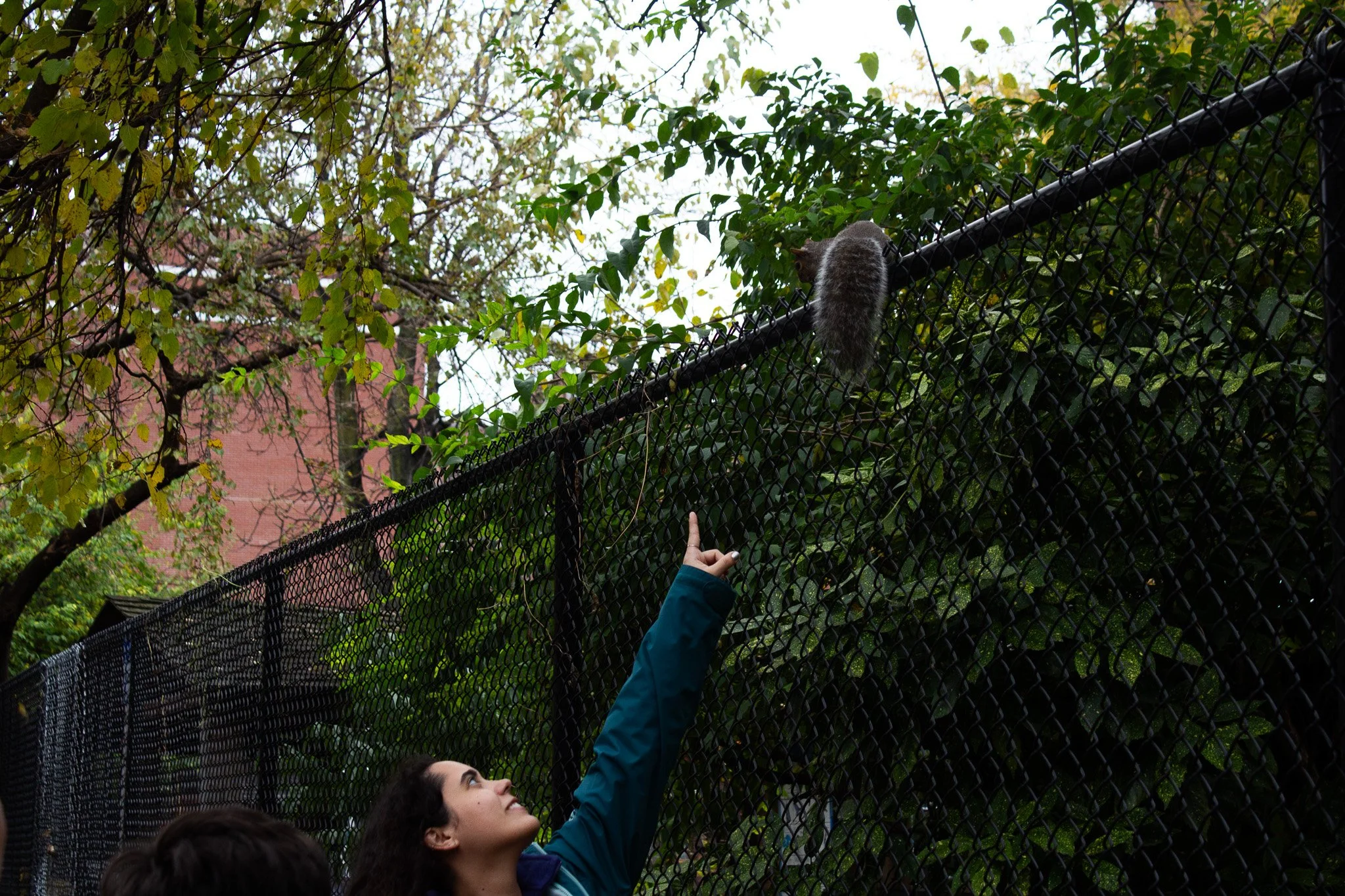 A woman pointing upward at a squirrel perched on a tall black fence. The scene is outdoors with trees and a pink building in the background.
