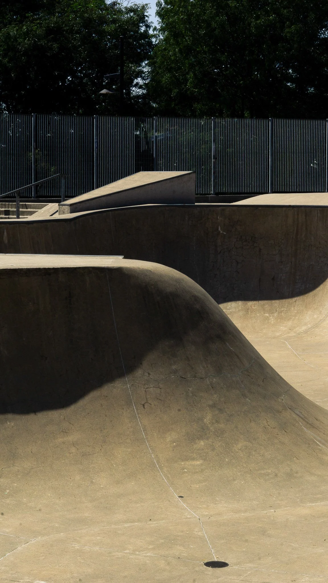 Concrete skate park with ramps and bowls, set against a backdrop of green trees and a black metal fence.
