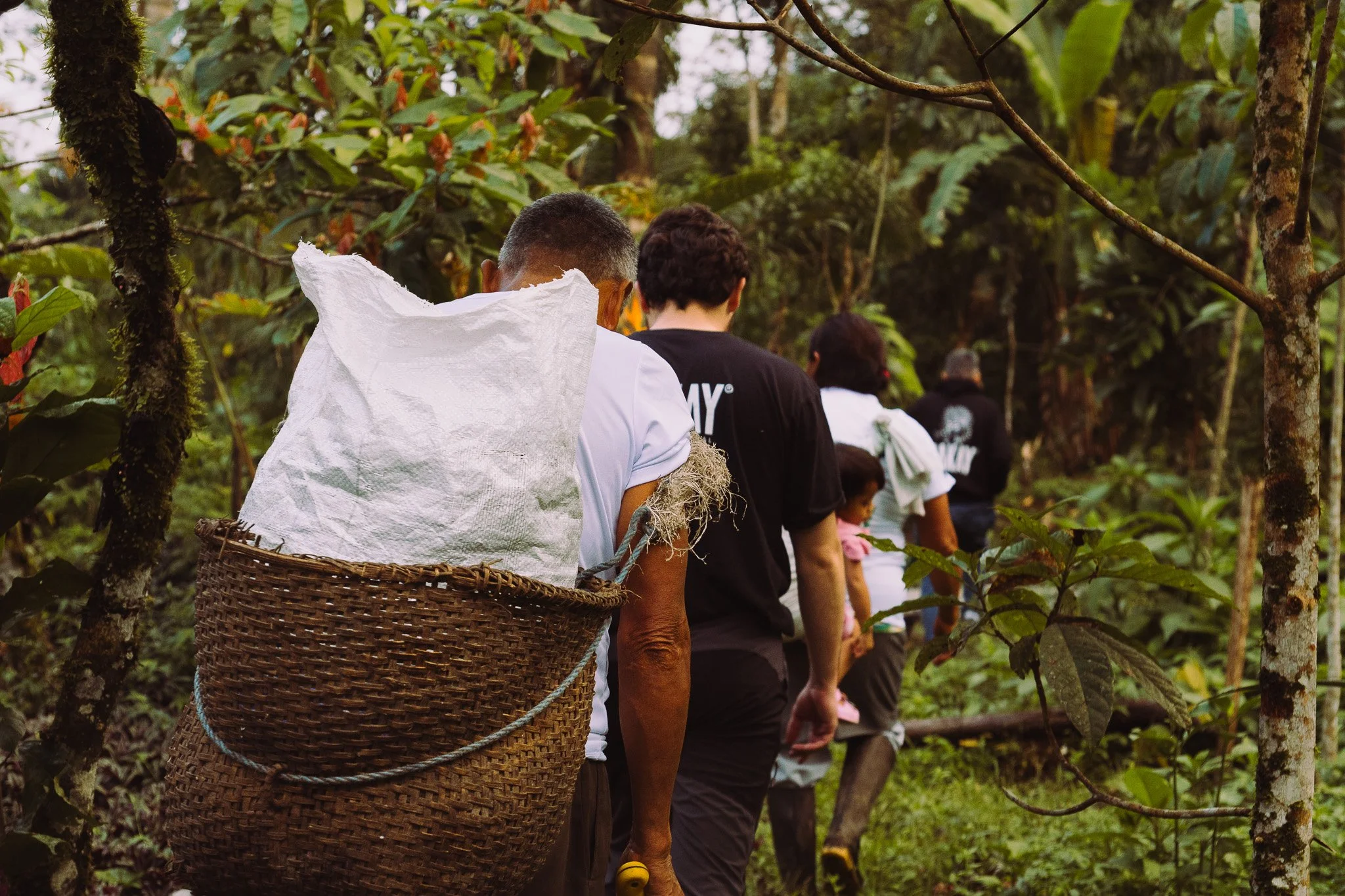 Line of people walking in a lush, green forest or plantation, some carrying baskets and wearing outdoor clothing.