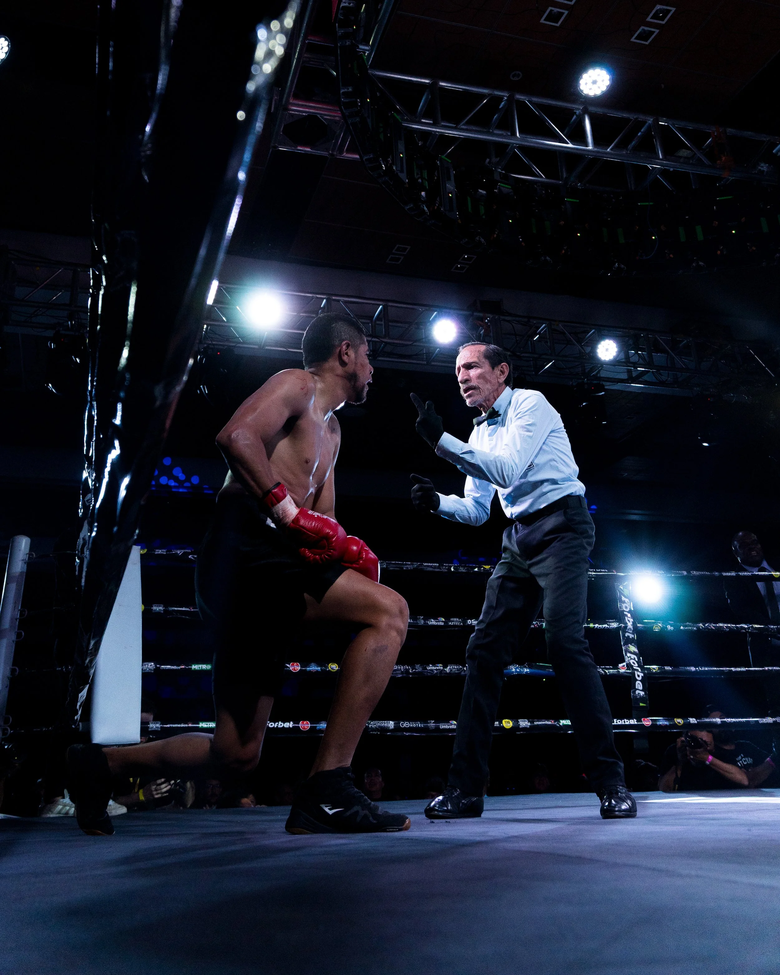 A boxing match with a boxer kneeling and a referee pointing at him inside a ring, illuminated by overhead lights.